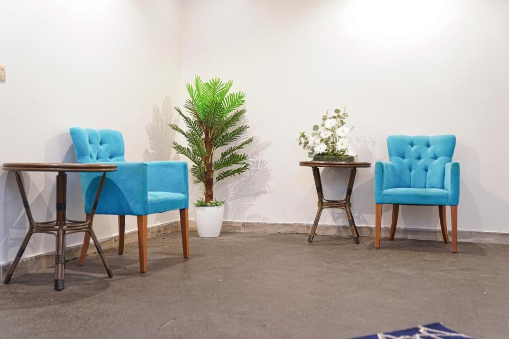 Two blue chairs with wooden legs and a small table, a potted plant, and a wall with a shadow.