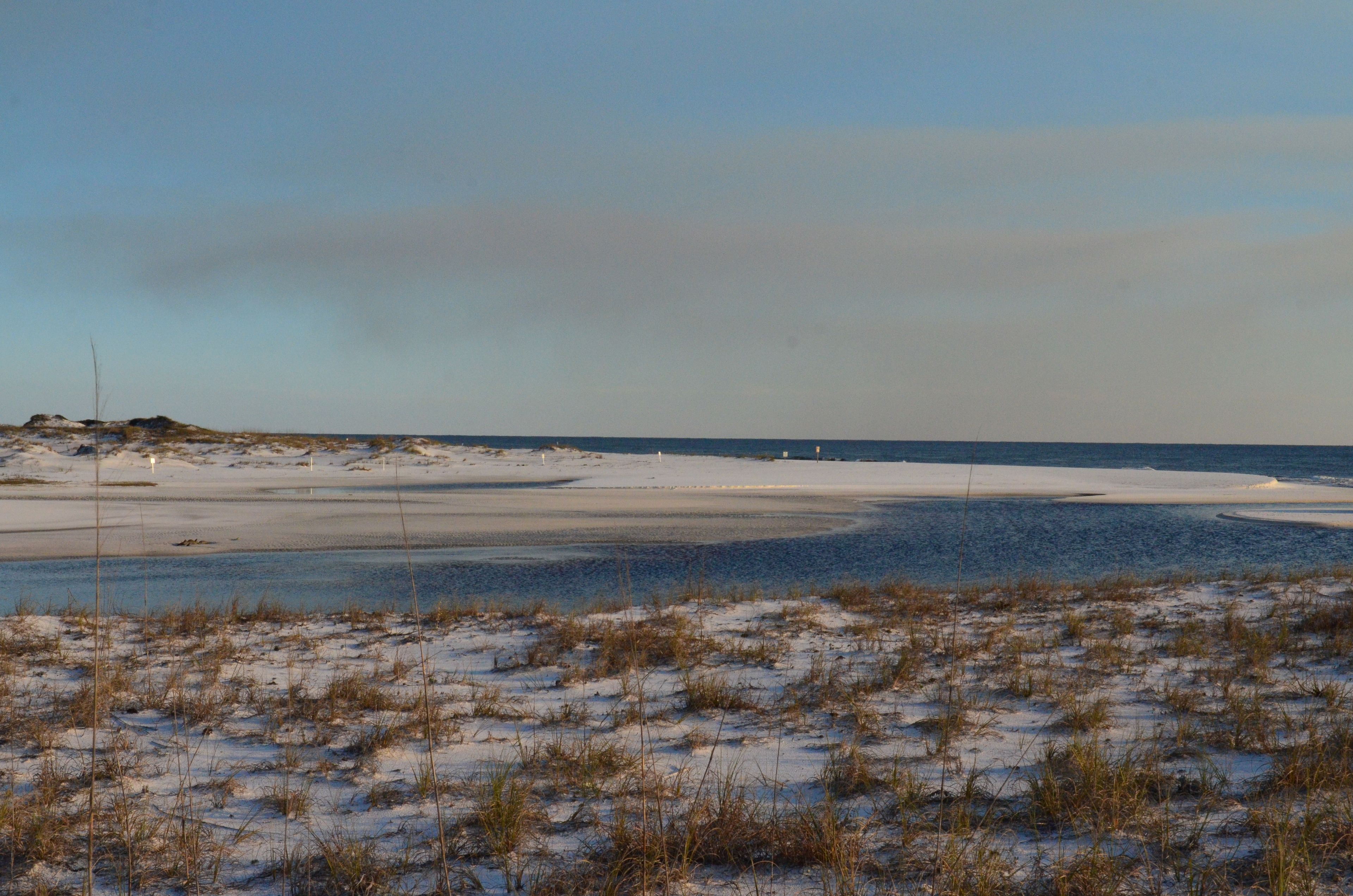 A beach with sand dunes and a clear sky.
