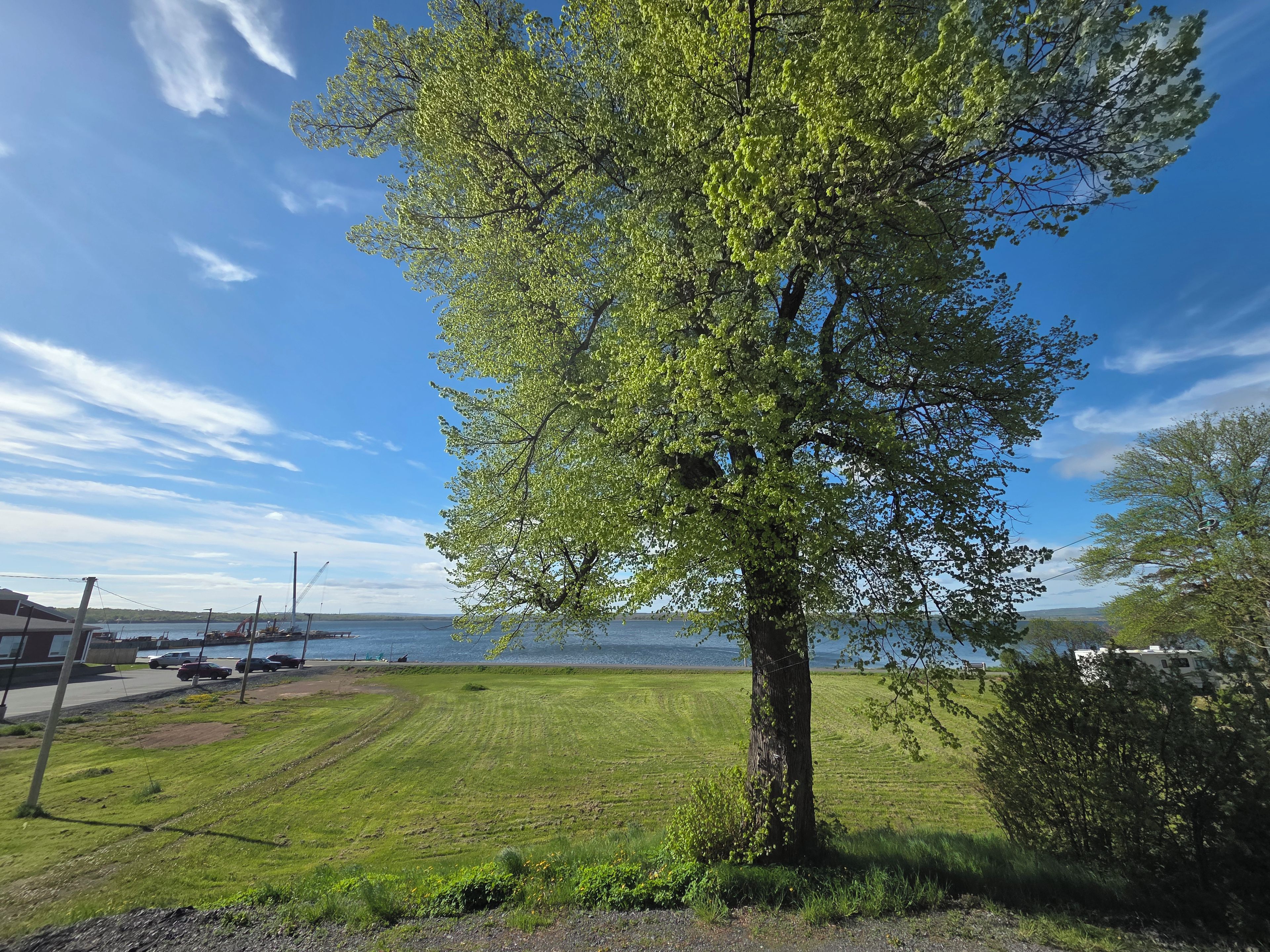 A tree-lined grassy area with a body of water in the background.