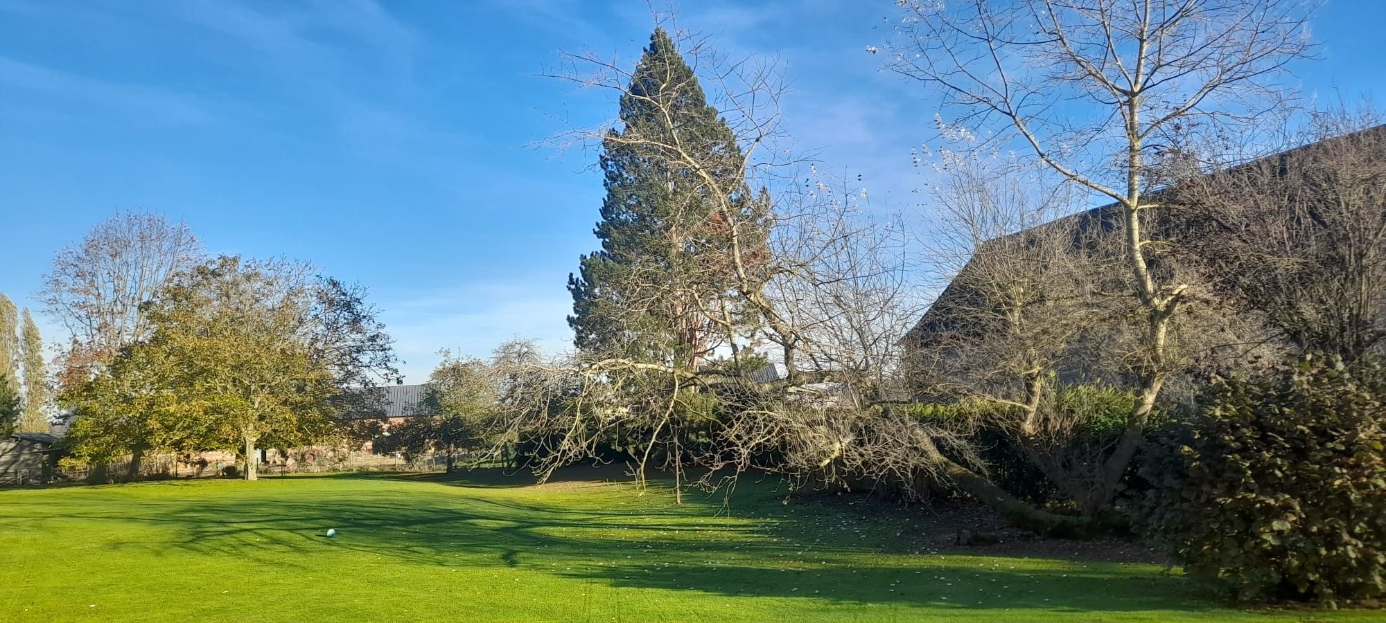 Un terrain de golf bien entretenu, sous un ciel dégagé, entouré d’arbres et bordé d’un bâtiment.