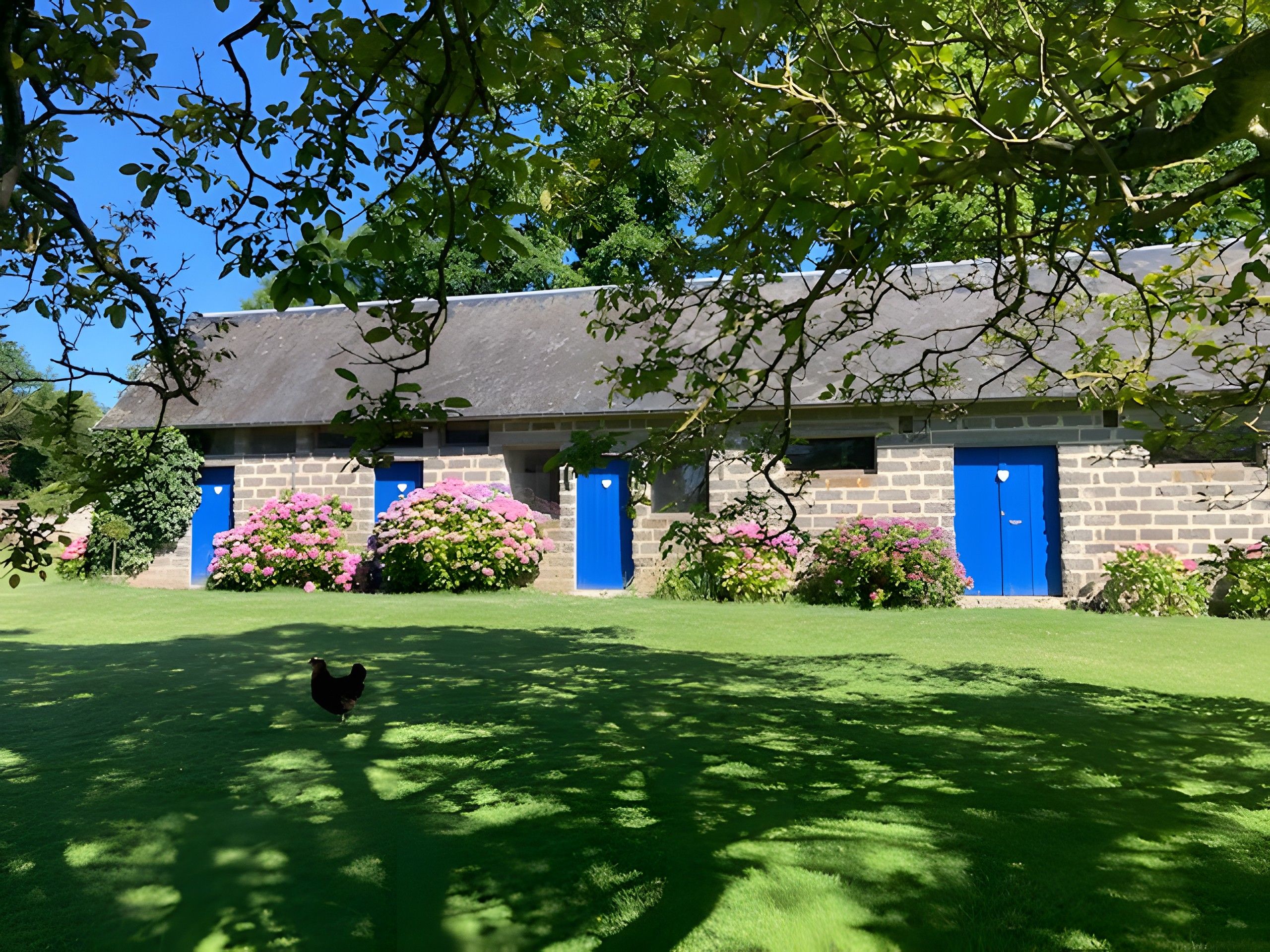 A building with a stone facade, multiple blue doors, and a lawn with pink flowers.