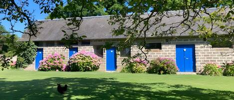 A building with a stone facade, multiple blue doors, and a lawn with pink flowers.