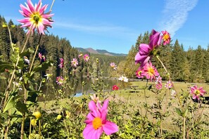 A natural landscape with a lake, trees, and flowers.