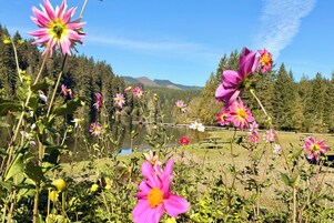 Un paysage naturel avec un lac, des arbres et des fleurs.