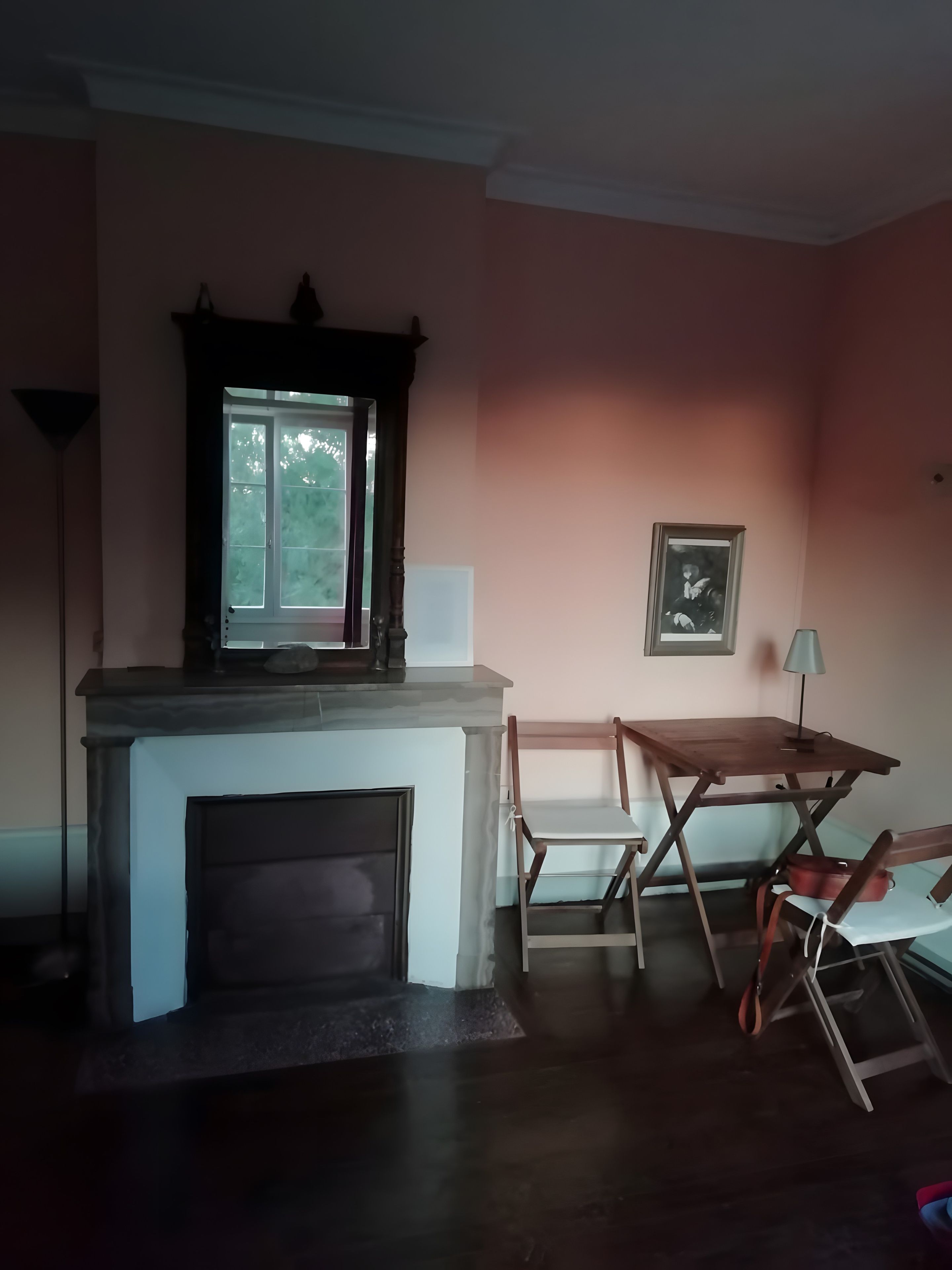 Een kamer met een open haard, een tafel en stoelen.