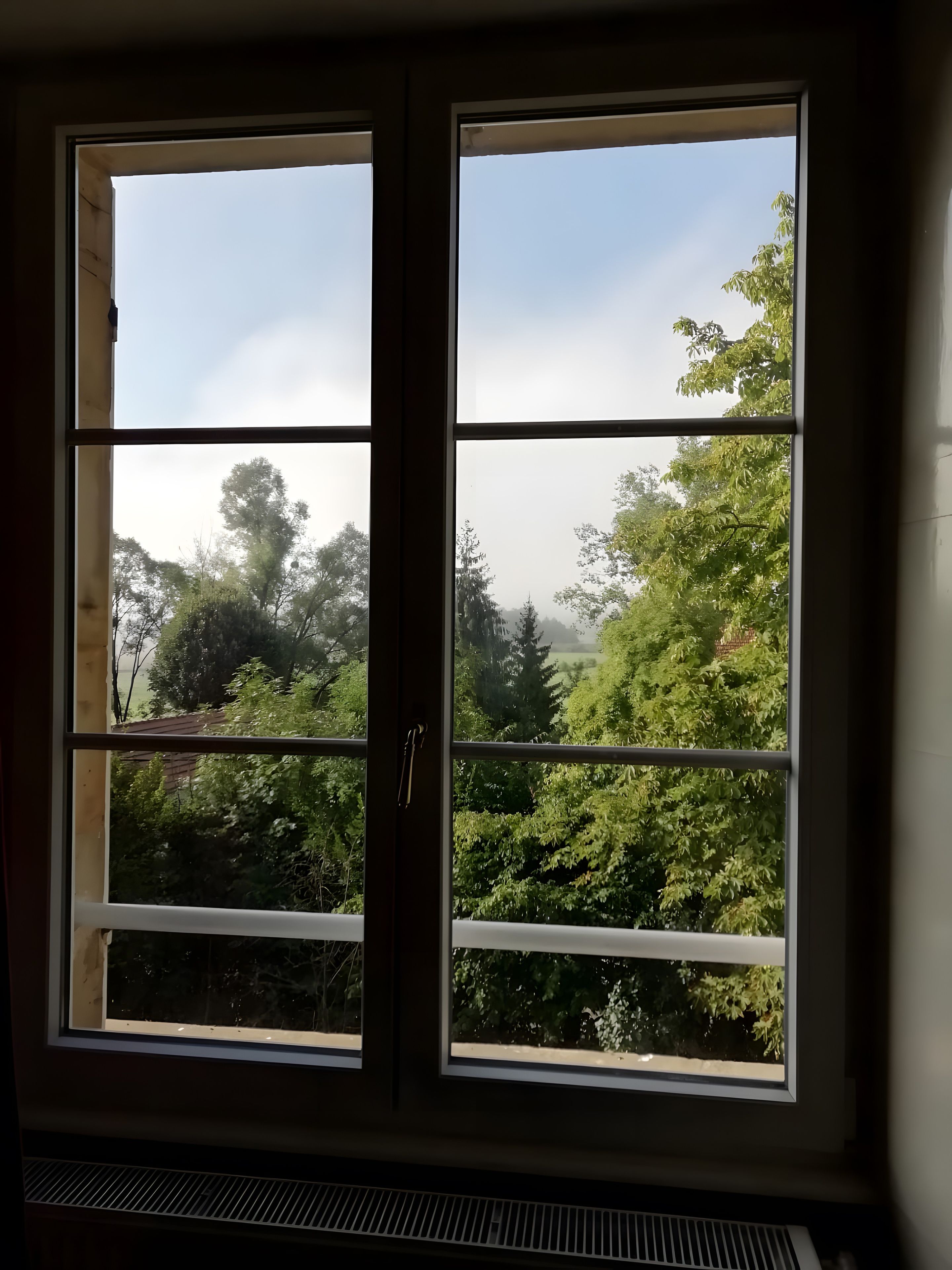 Een uitzicht op bomen en een heldere lucht.