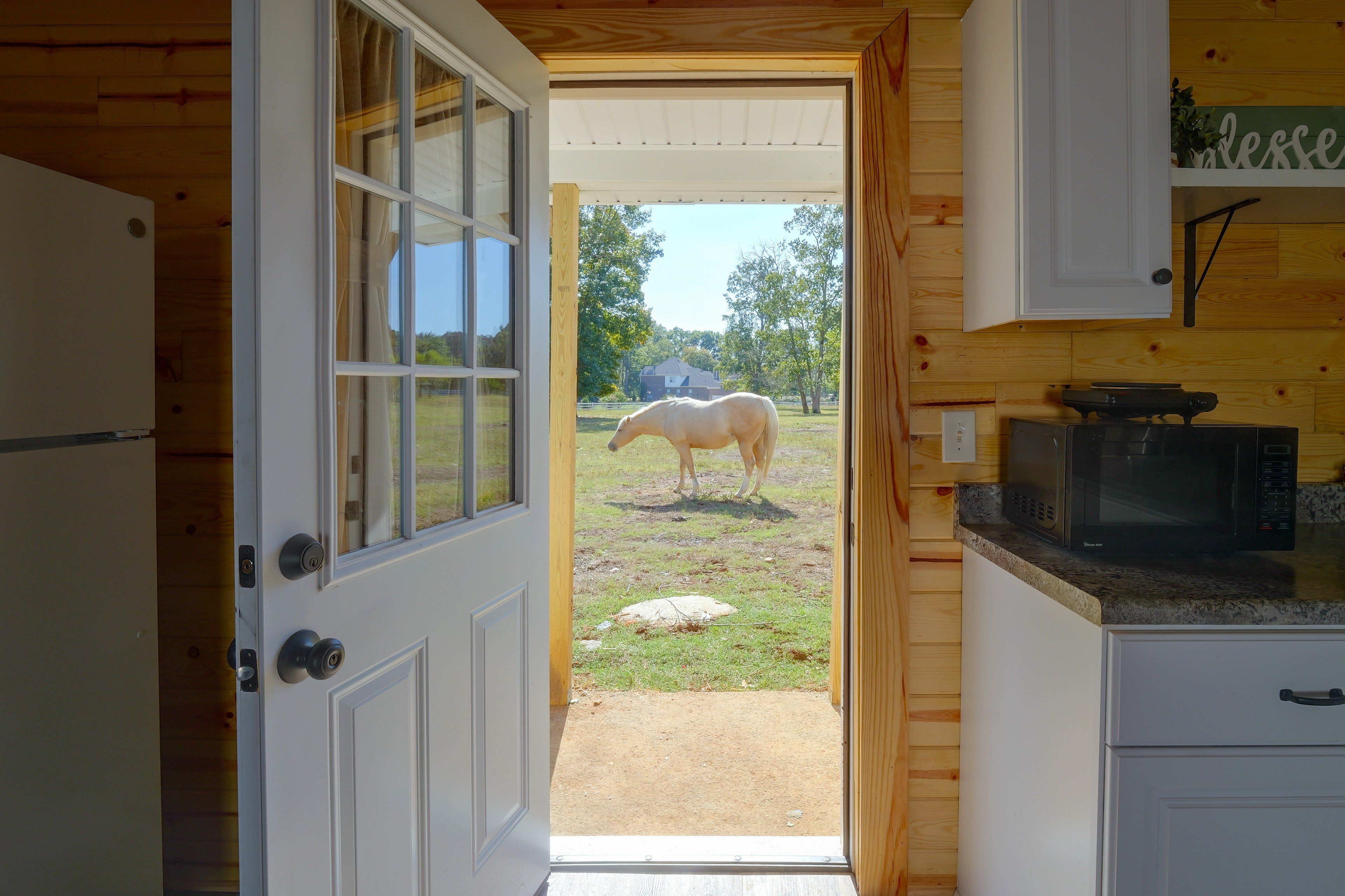 A wooden interior with a door leading to an outdoor area where a horse is visible.