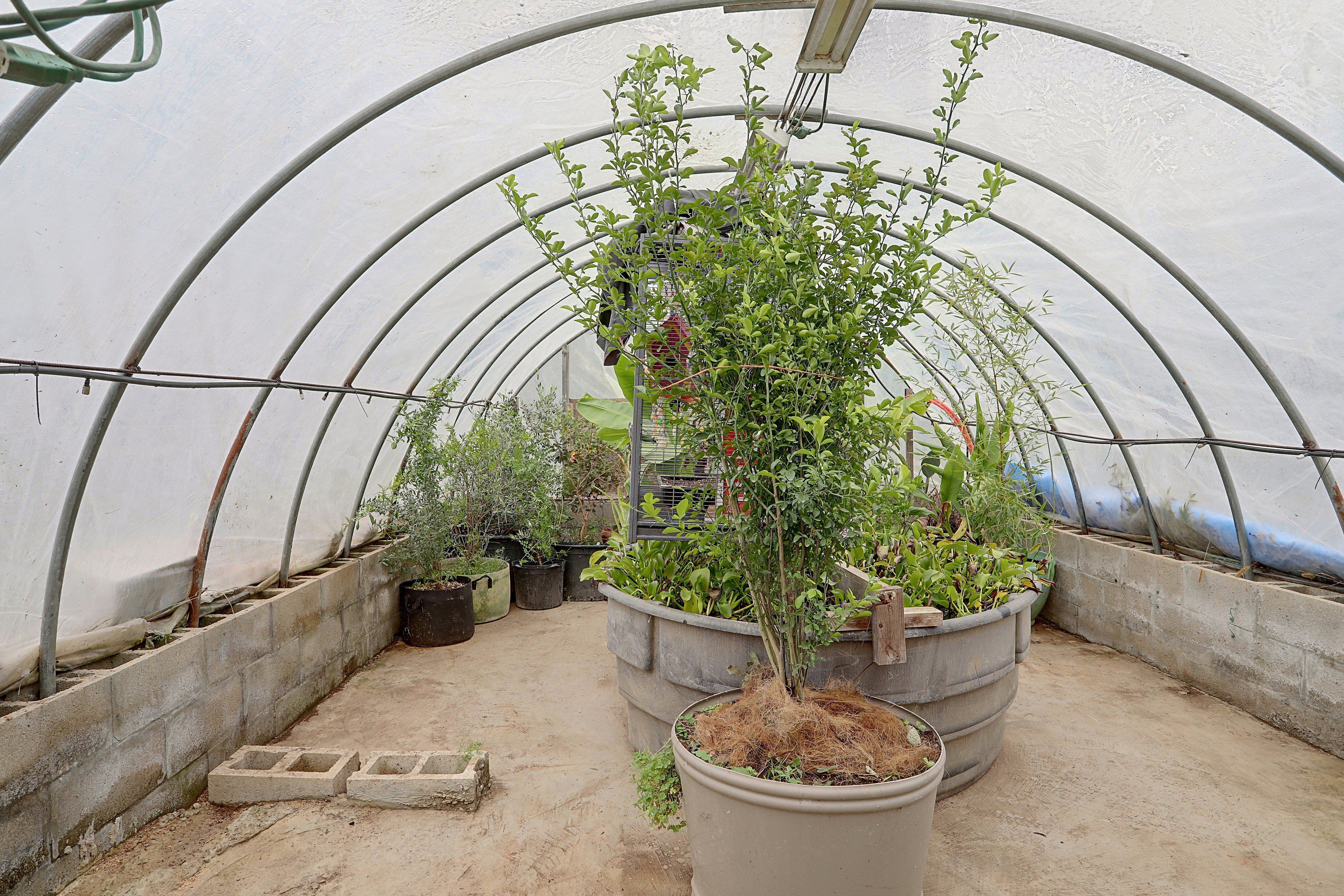 Uma estufa com vários vasos e uma variedade de plantas.
