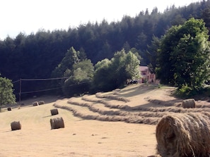 Un paisaje rural con pacas de heno, una casa y una colina boscosa.