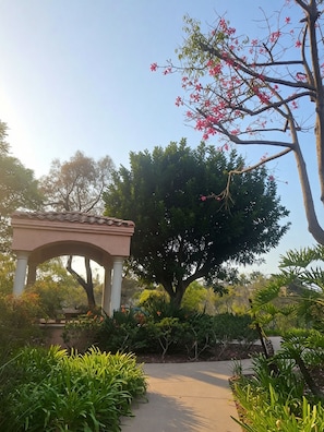 A garden with a gazebo, a large tree, and various plants.