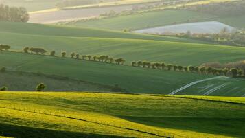 Rolling green fields with a fence line and a water body in the distance.