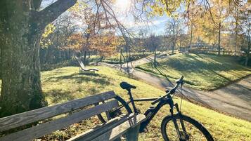 Un banc de parc avec un vélo appuyé contre, entouré d’arbres aux feuilles d’automne.