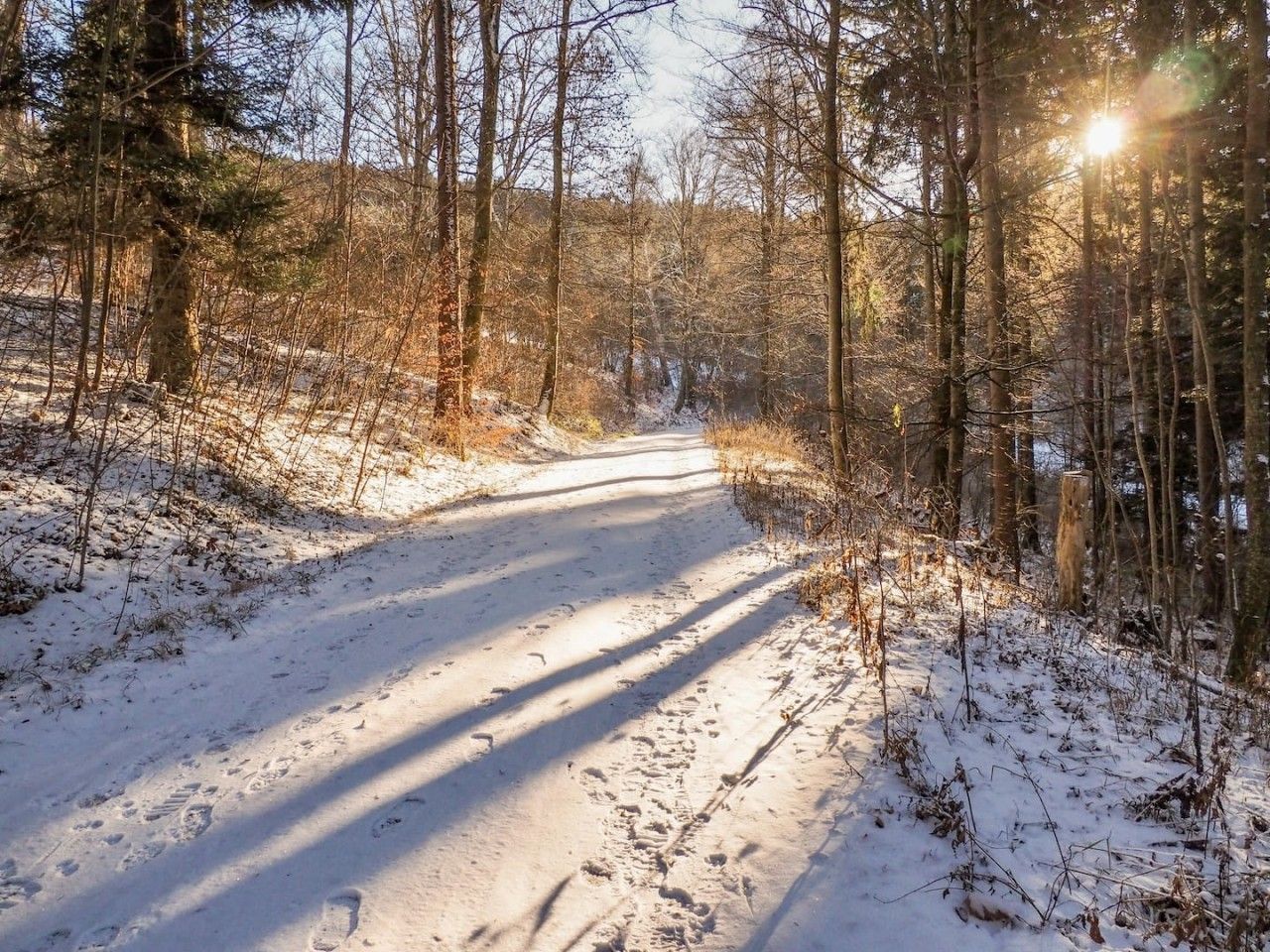 A snow-covered path in a forest with sunlight filtering through the trees.