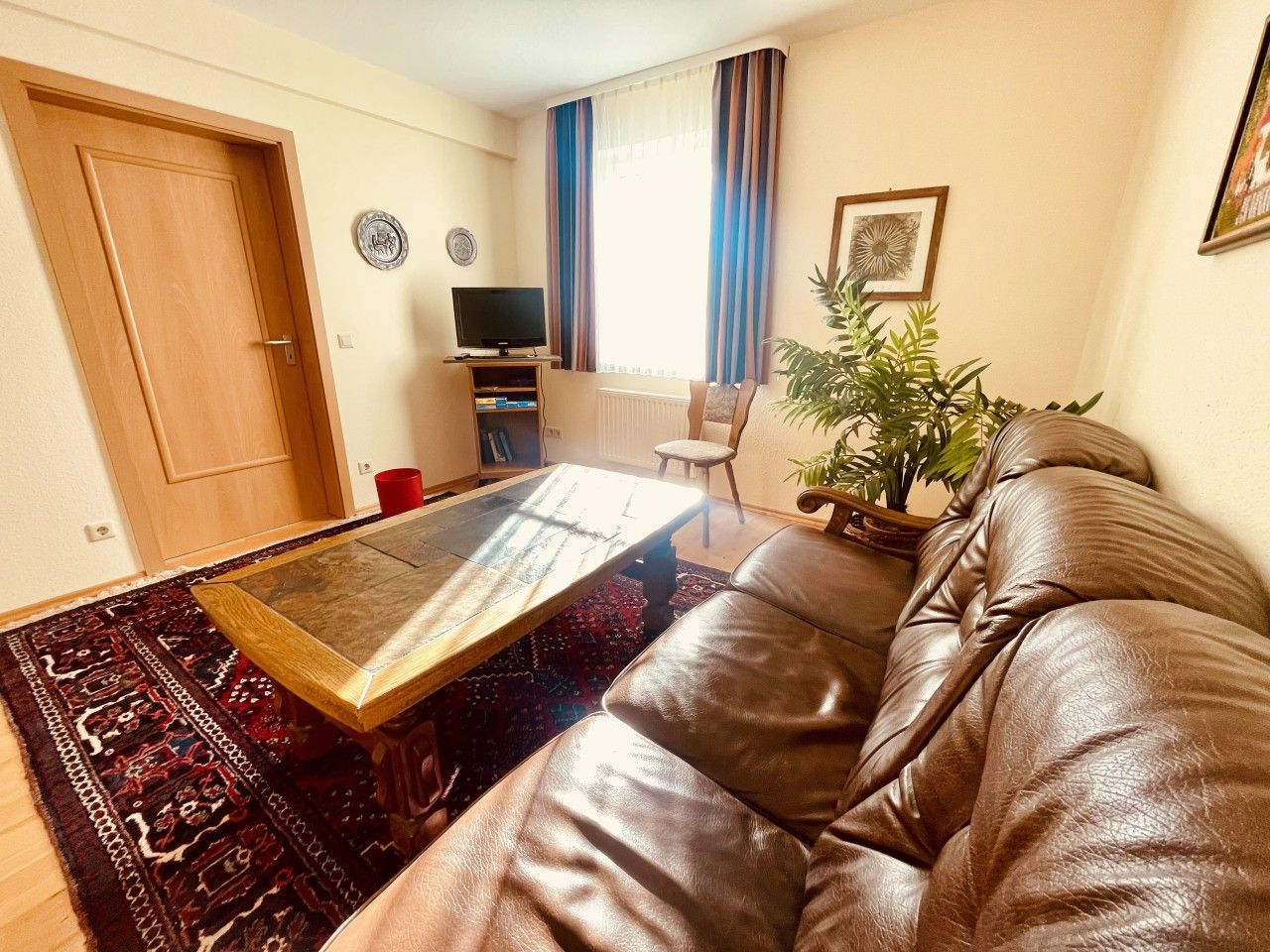 Un salon avec un canapé en cuir marron, une table basse en verre, un téléviseur et une plante en pot.
