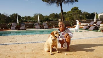 A pool area with lounge chairs and a dog.