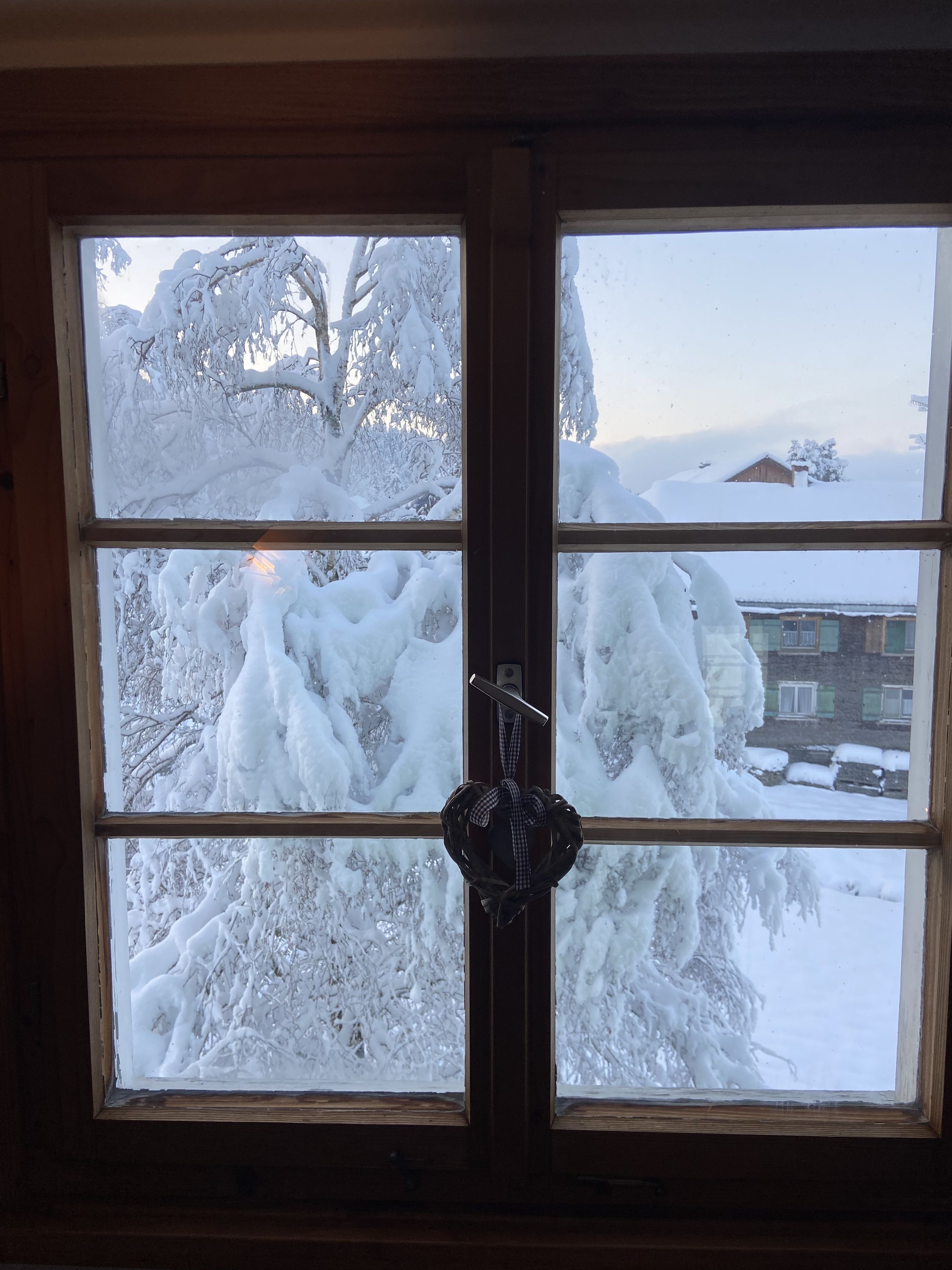 A window with a view of snow-covered trees and a house.