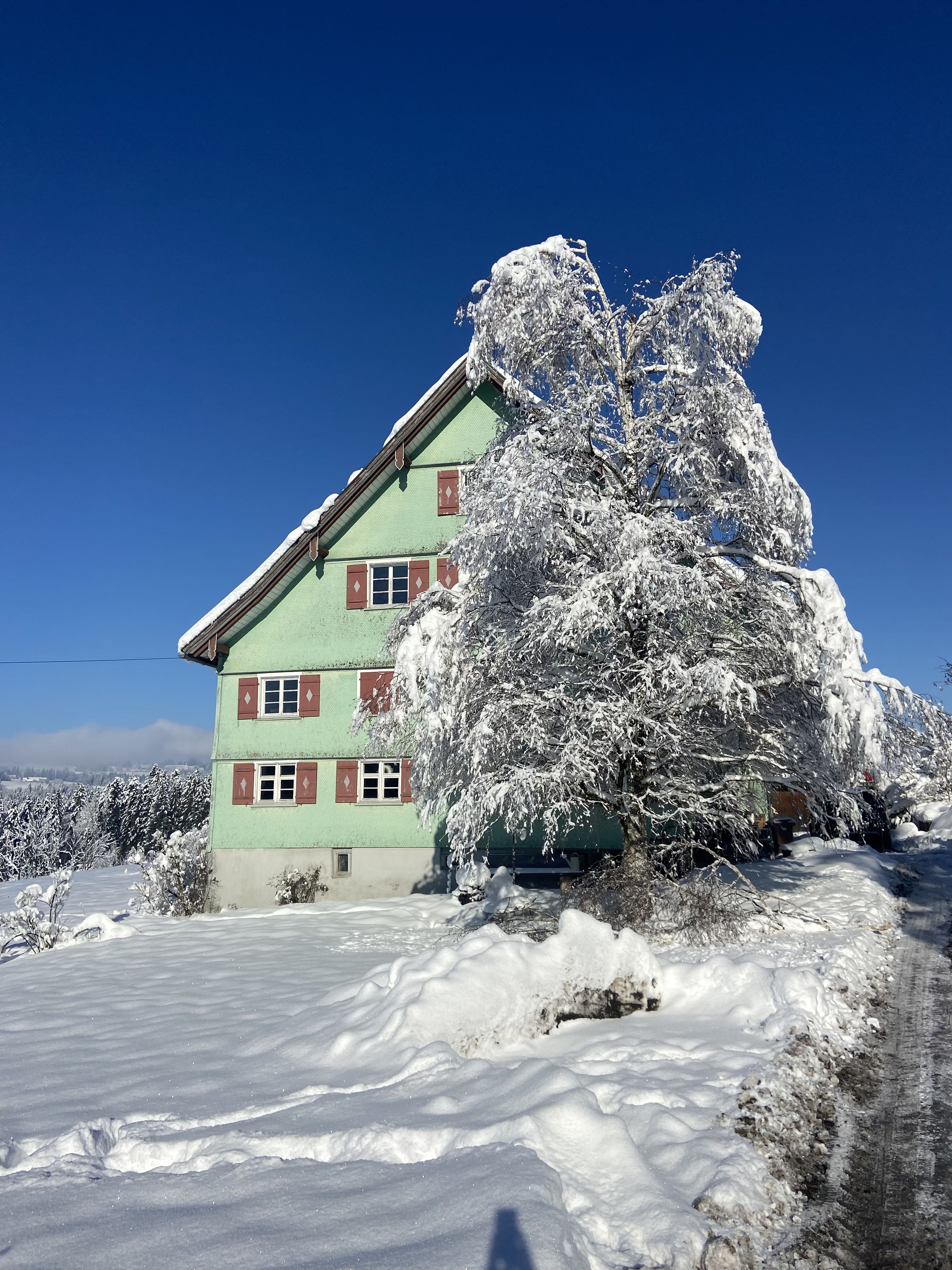 A two-story house with snow-covered trees and a clear blue sky.