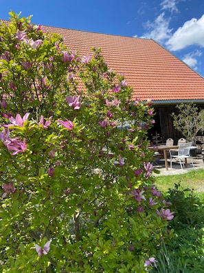 A building with a red-tiled roof and a garden with blooming pink flowers. - Country House 'Allgäu-Cottage' with Mountain View, Private Terrace and Wi-Fi (Weiler-Simmerberg)