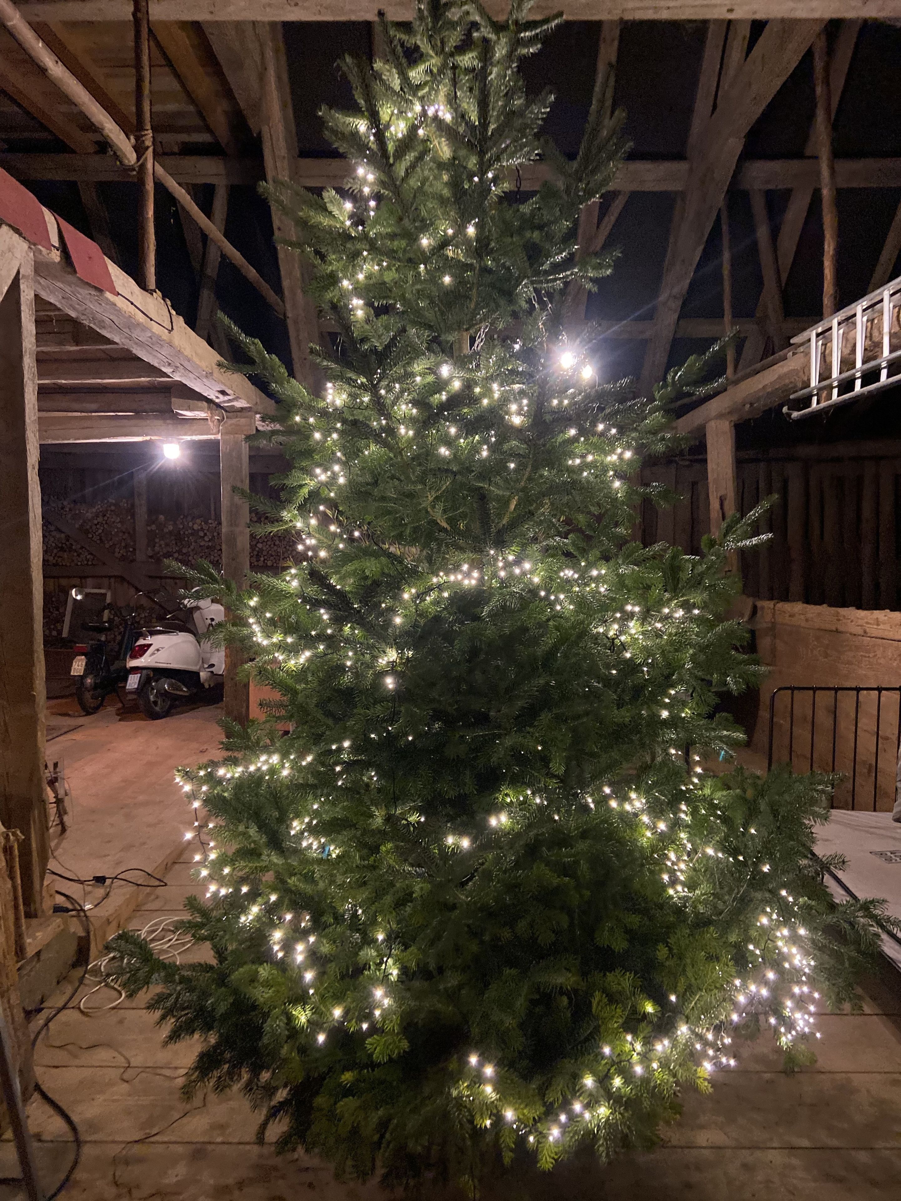 A Christmas tree adorned with lights in a covered outdoor area with wooden beams and a scooter parked nearby.