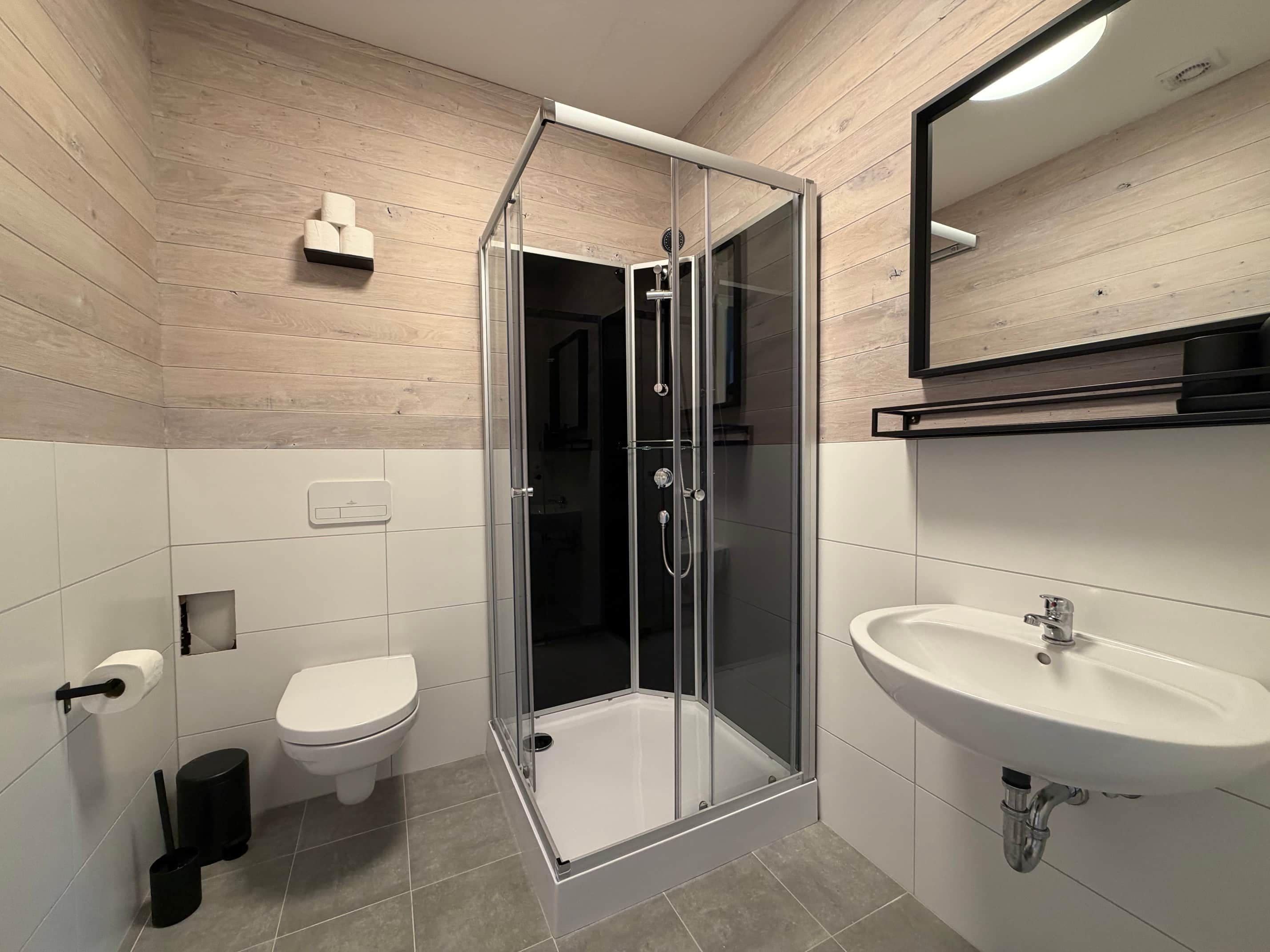 Een moderne badkamer met een douche met glazen wand, een toilet, een wastafel en een spiegel.
