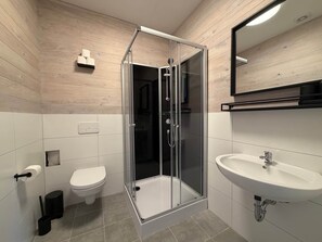 A modern bathroom with a glass-enclosed shower, a toilet, a sink, and a mirror.