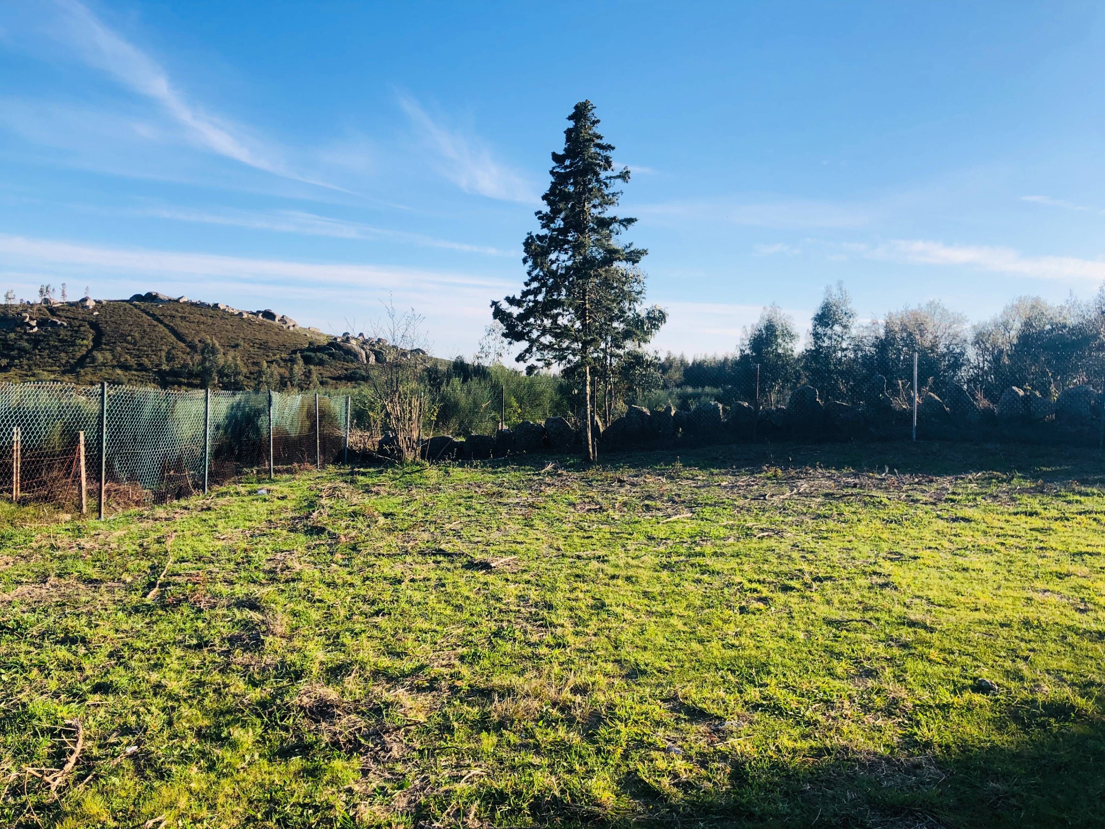 Un champ herbeux avec une clôture et des arbres en arrière-plan.