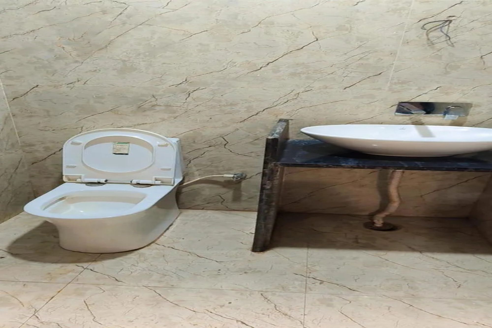 A bathroom with a toilet and a sink.