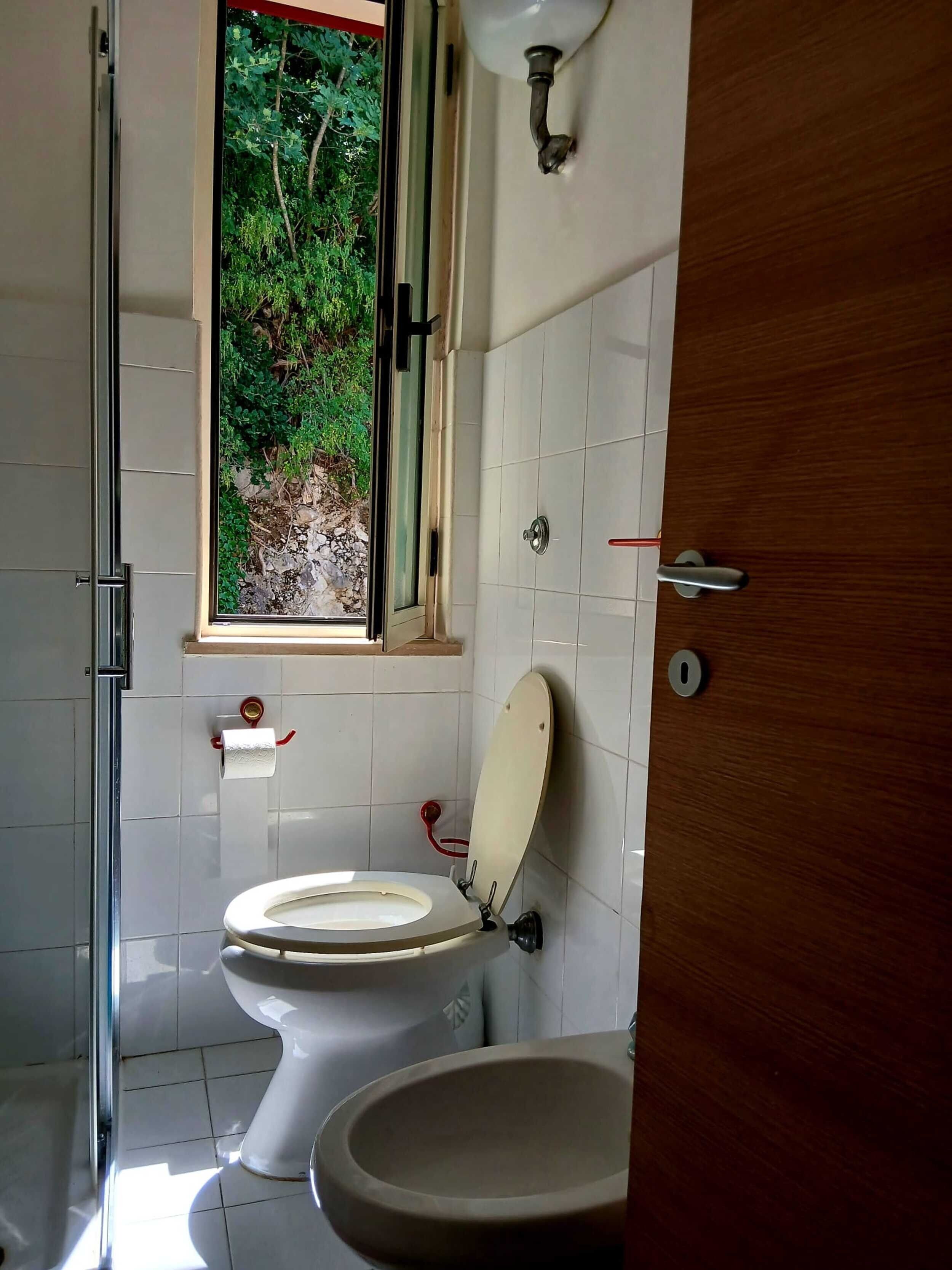 Une salle de bain avec des toilettes, un lavabo, une fenêtre donnant sur un espace verdoyant et une porte en bois.