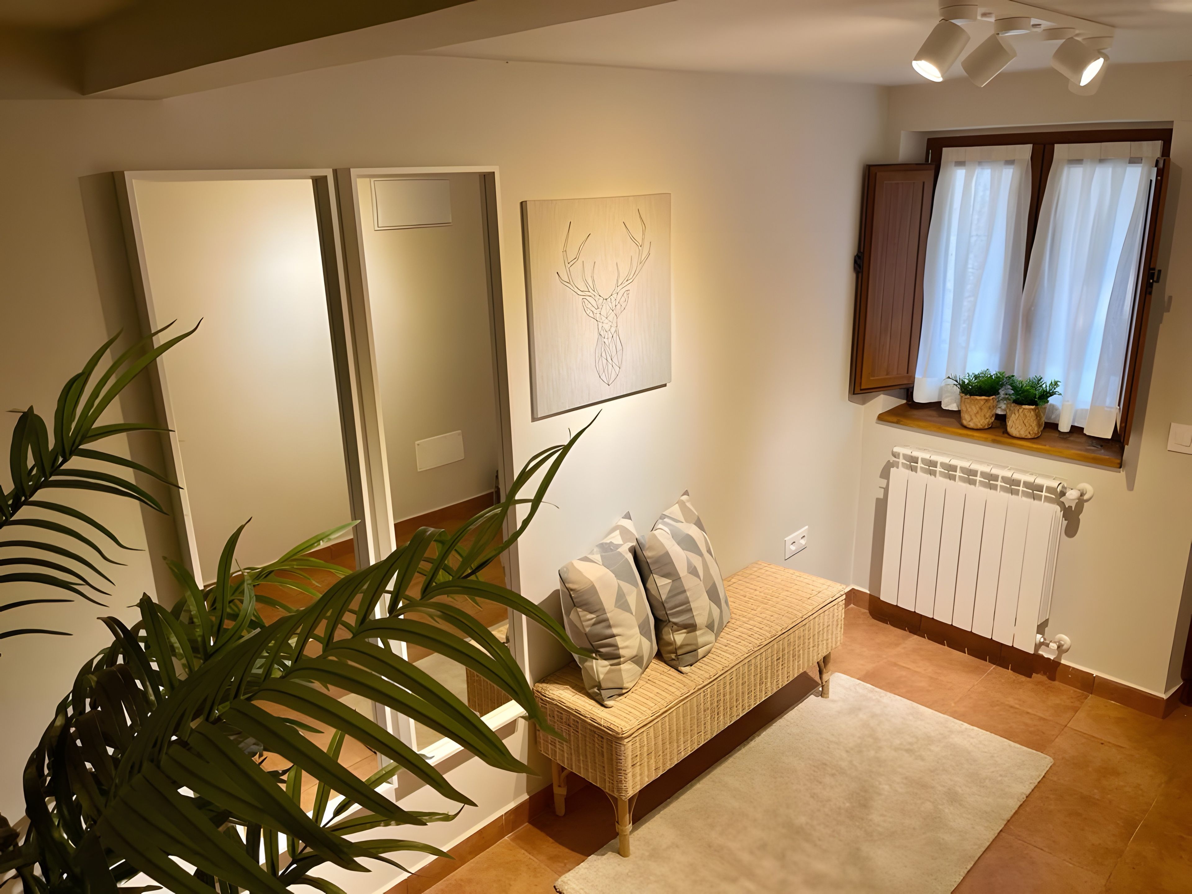 Ein gemütliches Wohnzimmer mit einer Couch, einer großen Pflanze, einer Heizung und einem Fenster mit Vorhängen.