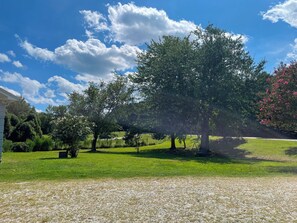 Eine grüne Wiese mit Bäumen und blauem Himmel.
