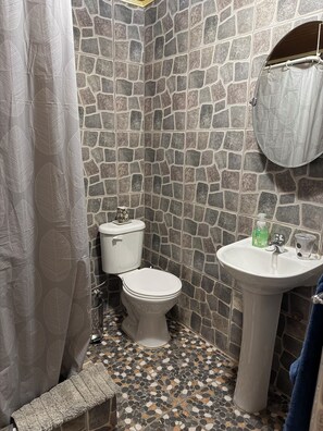 A bathroom with a stone wall, a toilet, a sink, and a shower curtain. - El floramento (San Pedro de Atacama)
