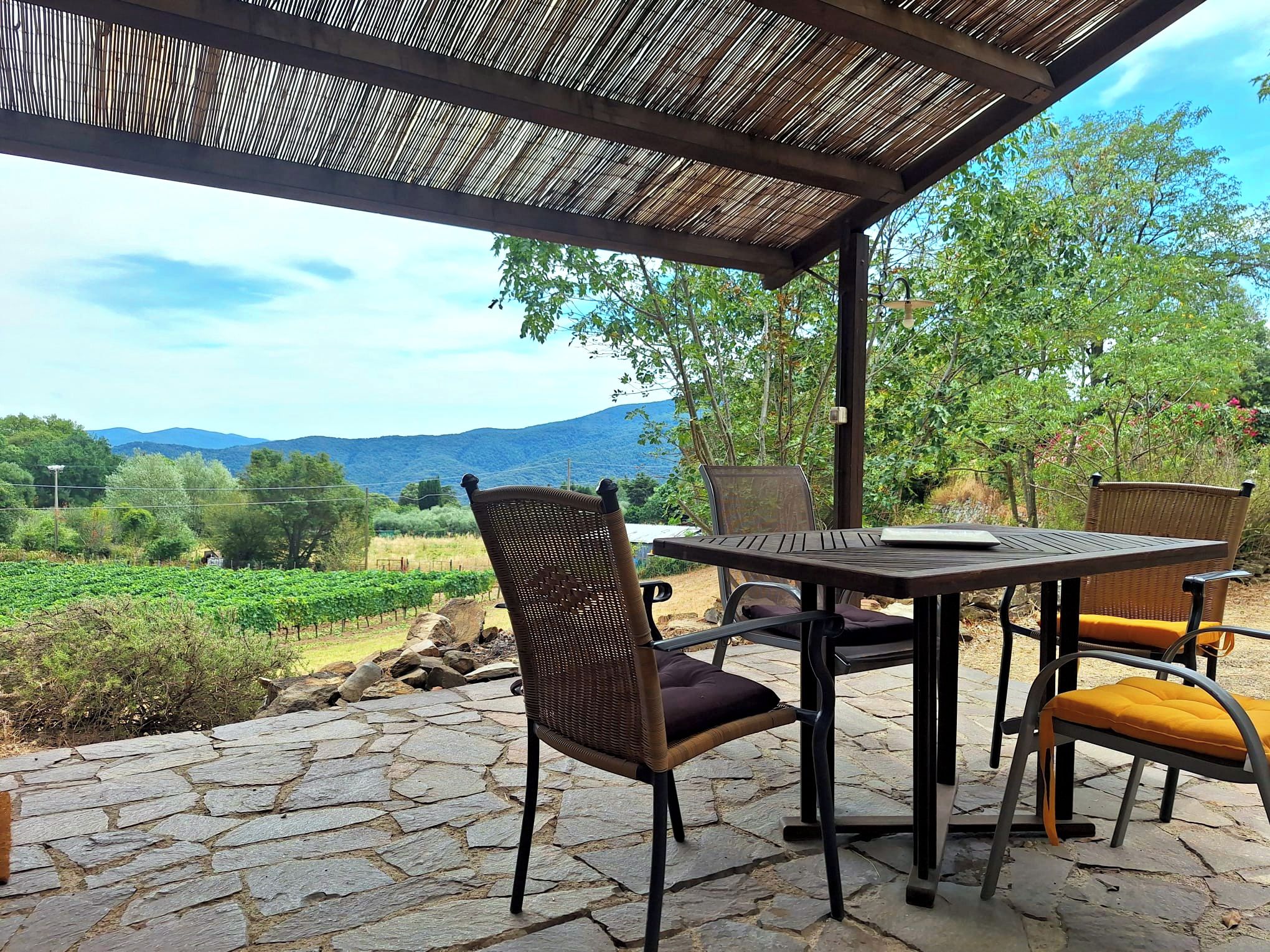 An outdoor patio with a table and chairs, a pergola overhead, and a view of a vineyard and mountains.