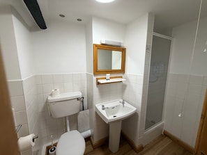 Un baño con inodoro, lavabo, espejo y ducha.