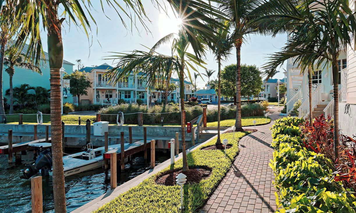 Breathe in sunshine along the waterway lined with palms.
