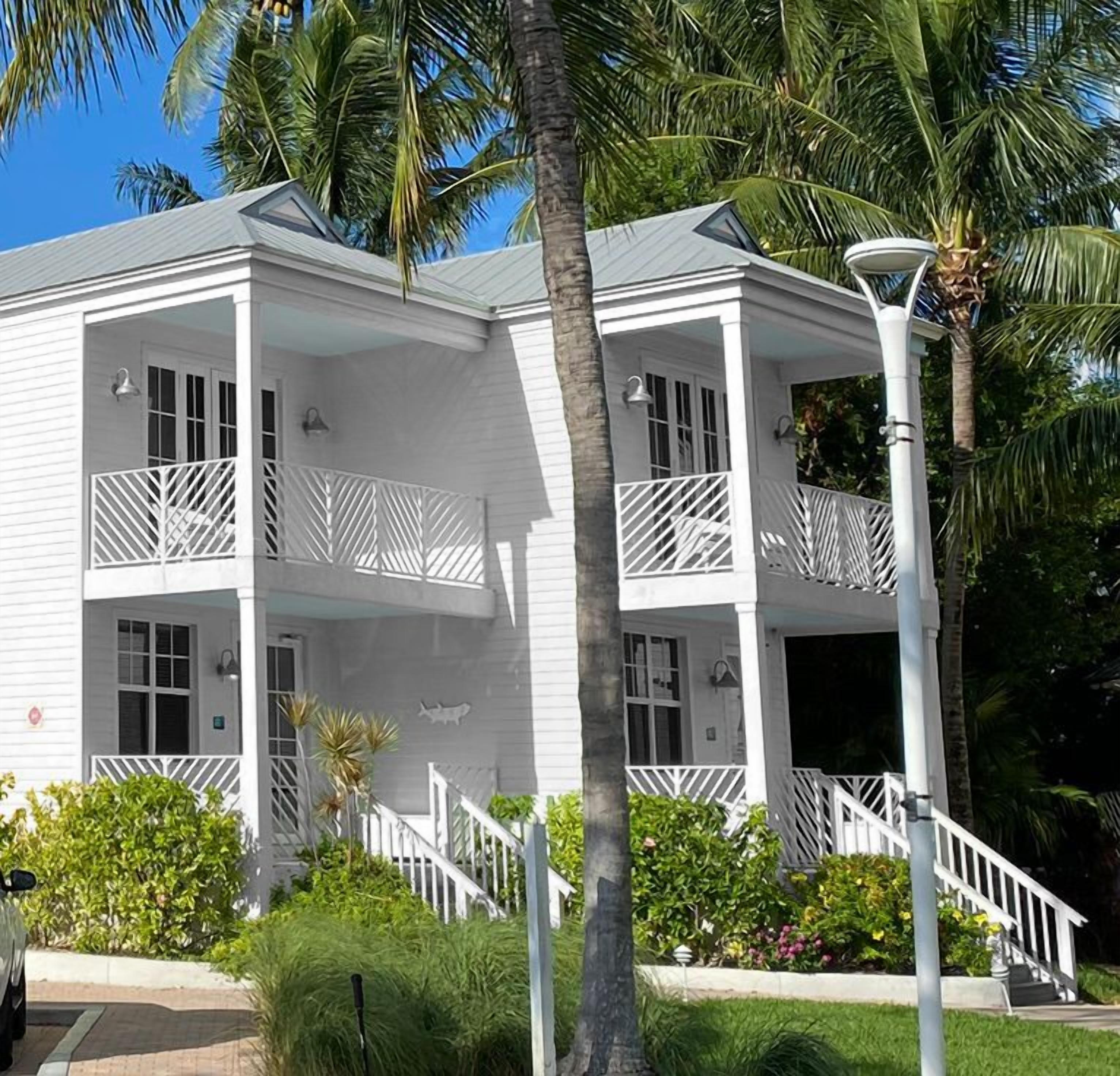 Arrive to a bright tropical retreat framed by swaying palms.