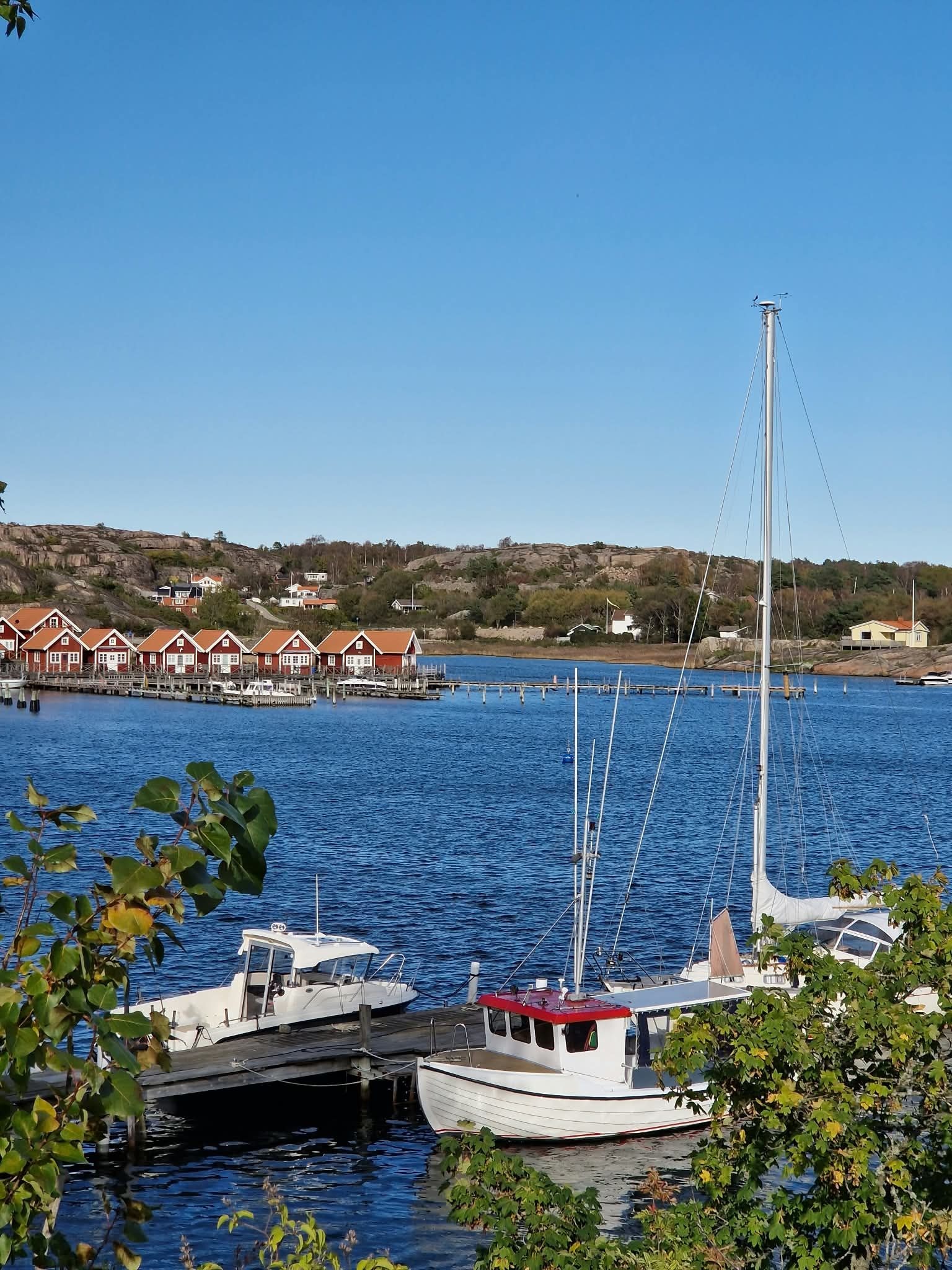 A marina with boats docked, a sailboat with a tall mast, and red houses in the background.