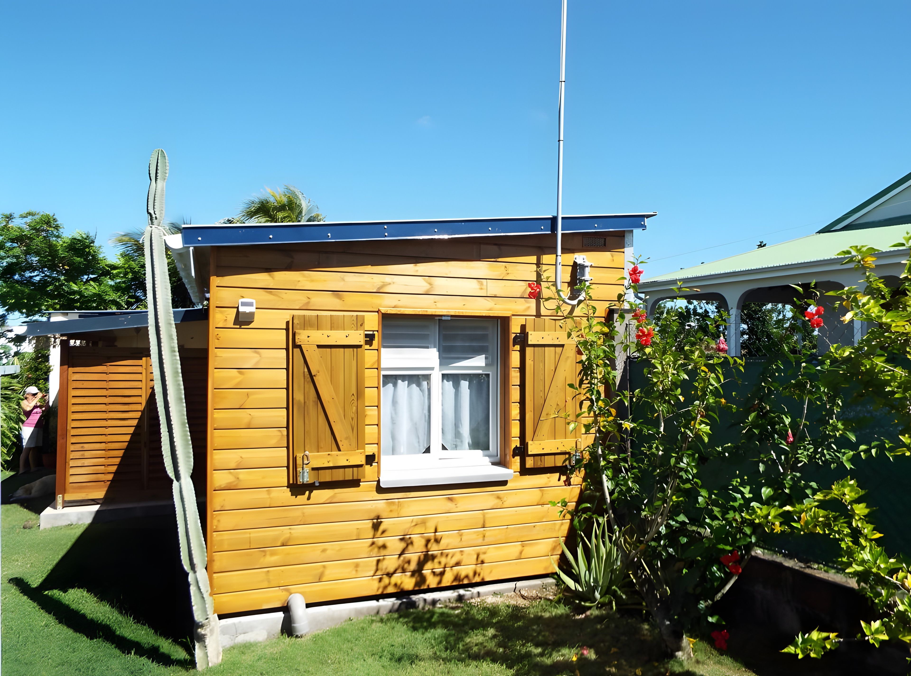 Une petite cabane en bois, dotée d’une fenêtre et d’une porte, entourée de verdure.