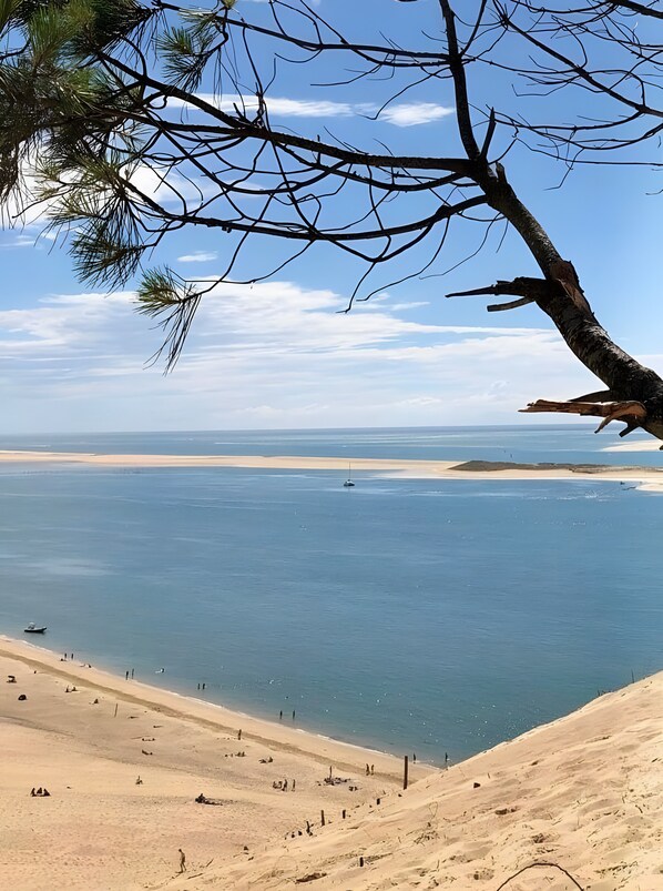 A beach with clear skies, a sandy shore, and a tree branch in the foreground. - Guest room 'Chambre Boléro' with shared terrace, Wi-Fi and air conditioning (Gujan-Mestras)
