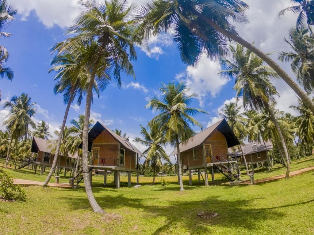 Un resort con varias cabañas, cada una con balcón y rodeada de palmeras.