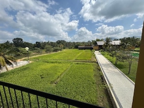 Vista de un campo verde con un sendero pavimentado y edificios al fondo.