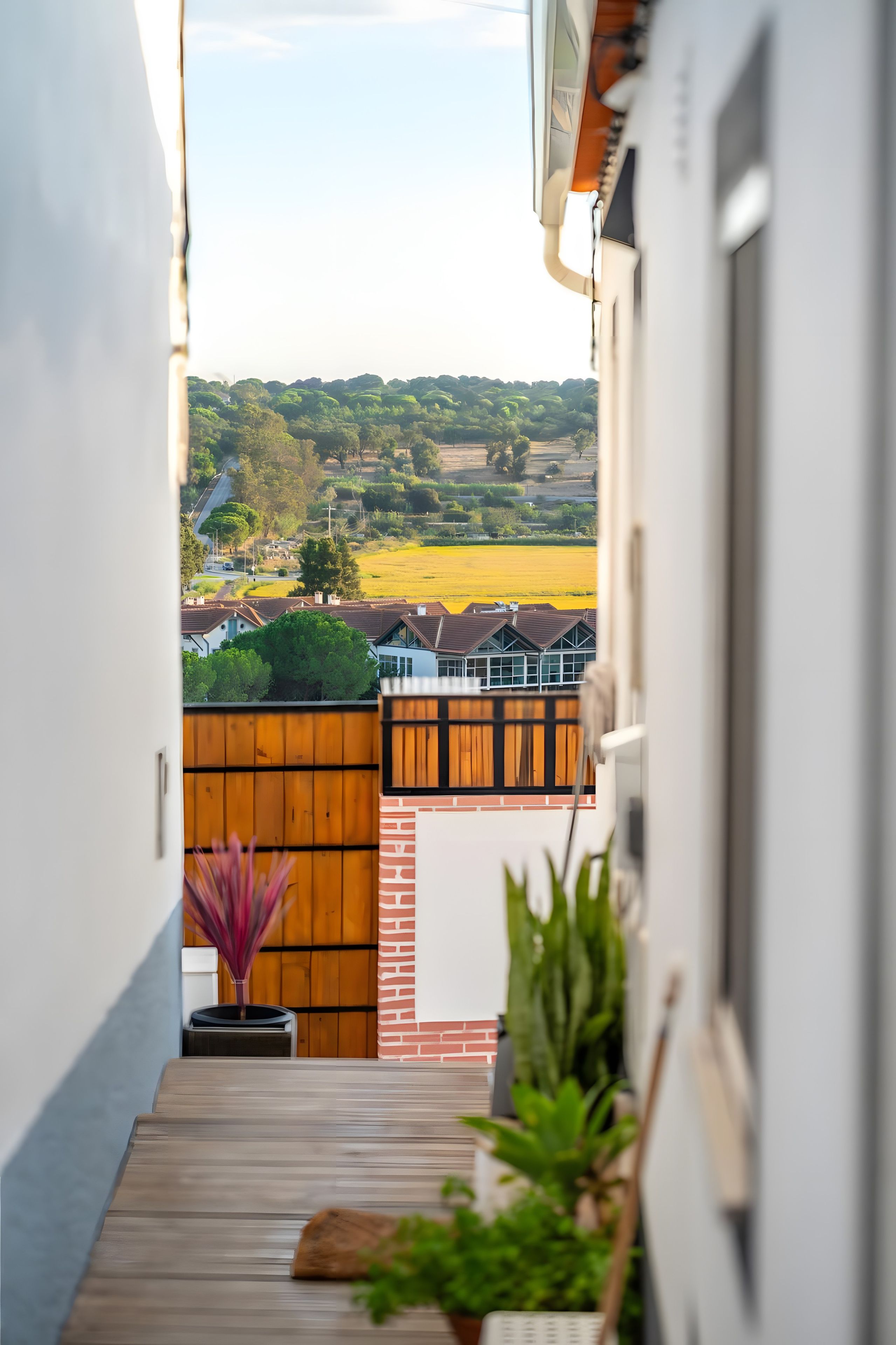 A balcony with a view of a rural landscape, a wooden fence, and a potted plant.