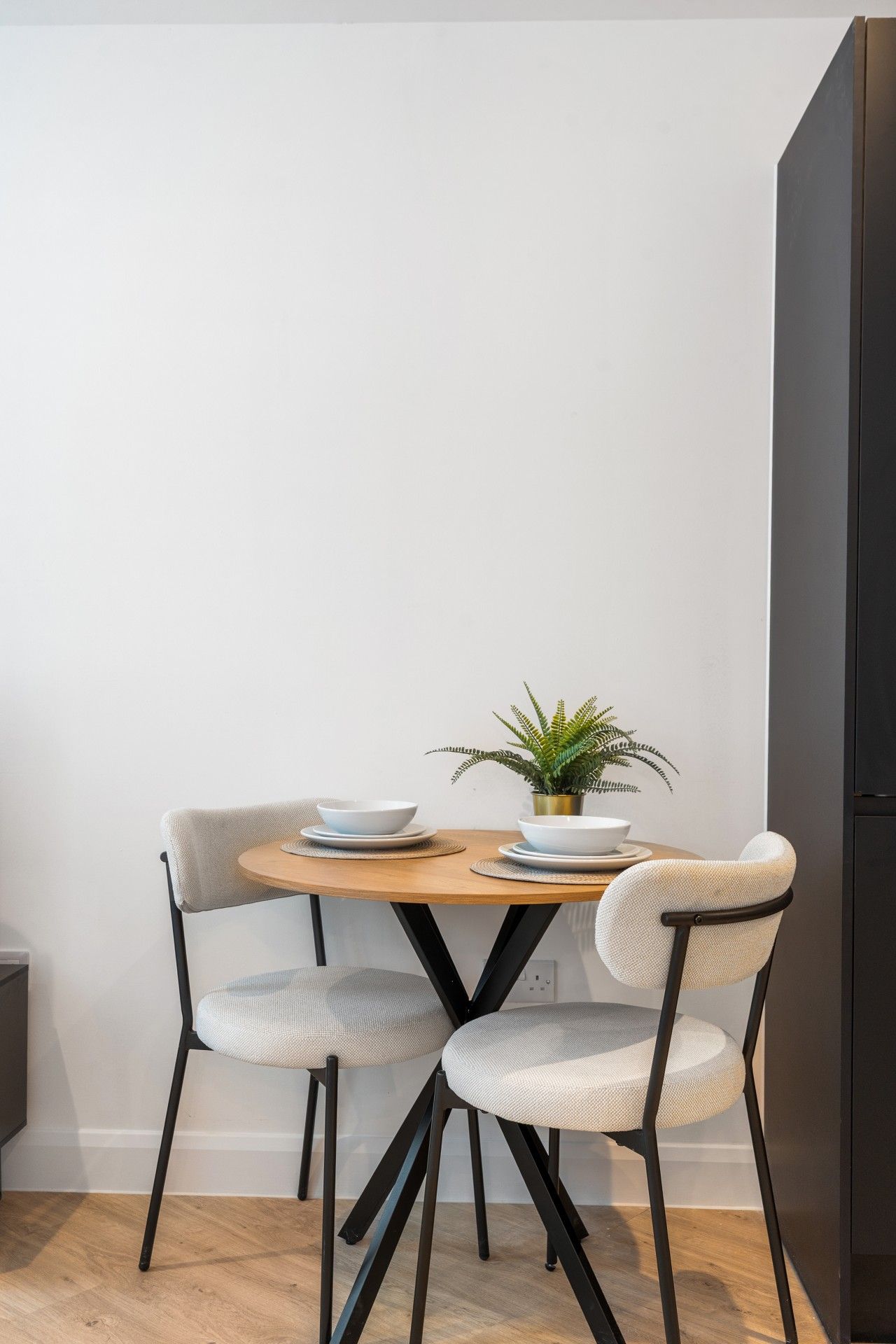 Un comedor con una mesa redonda, dos sillas, una planta en maceta y un mueble negro.