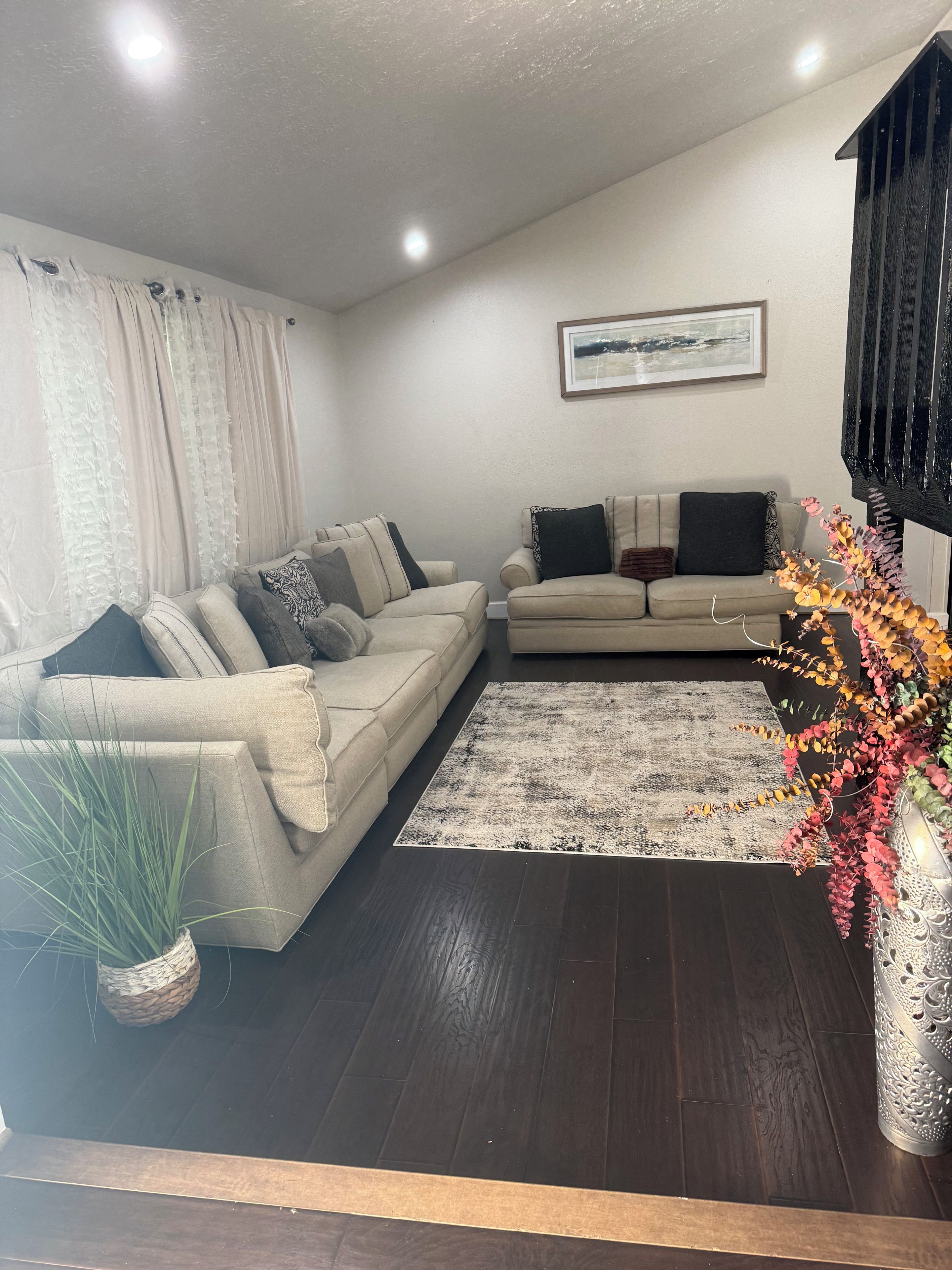A living room with two sofas, a rug, a potted plant, and a decorative vase.