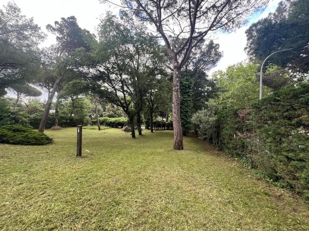 A park with trees and a grassy area.