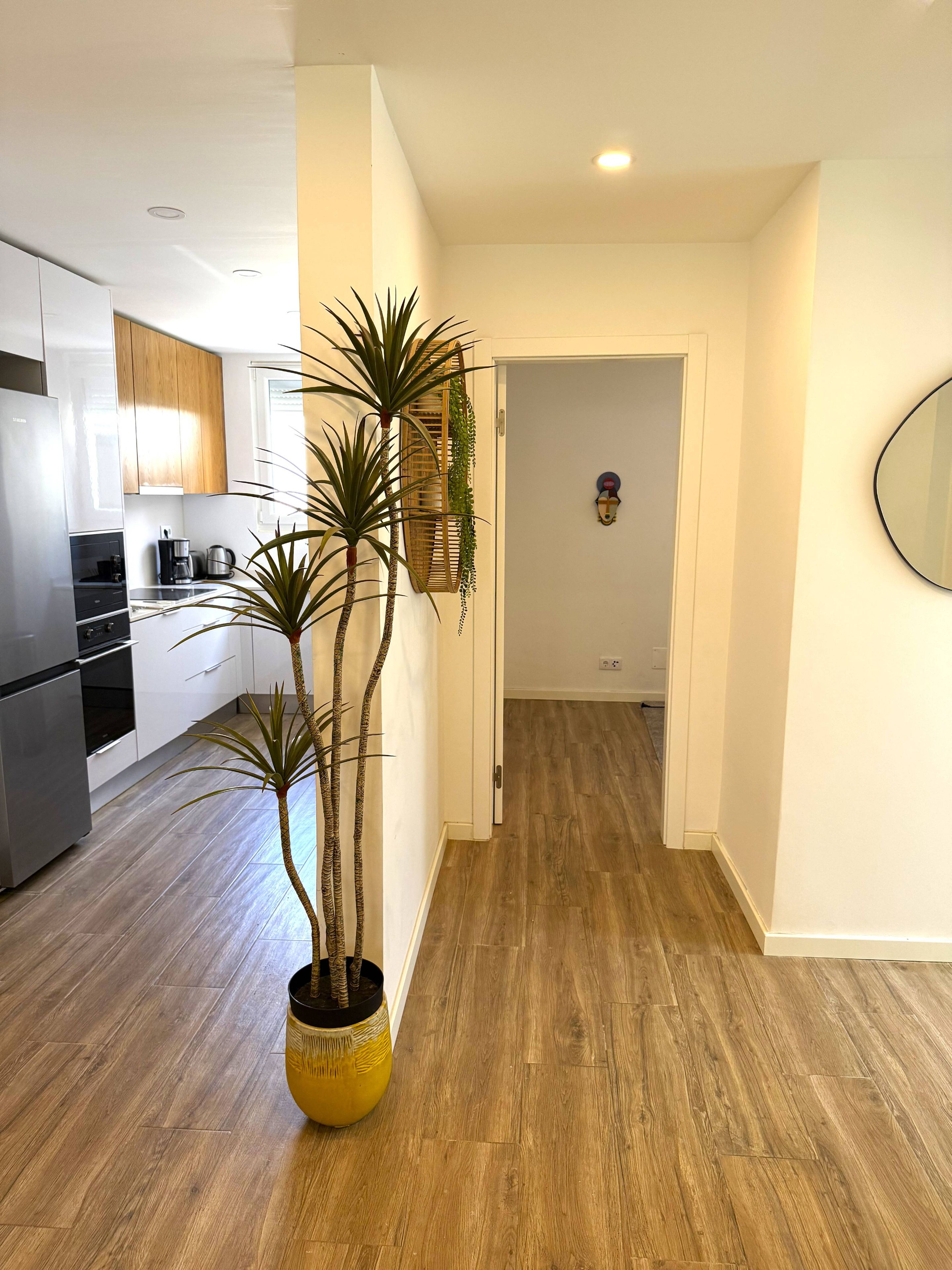 Una cocina moderna con electrodomésticos de acero inoxidable, armarios de madera y una planta en maceta.