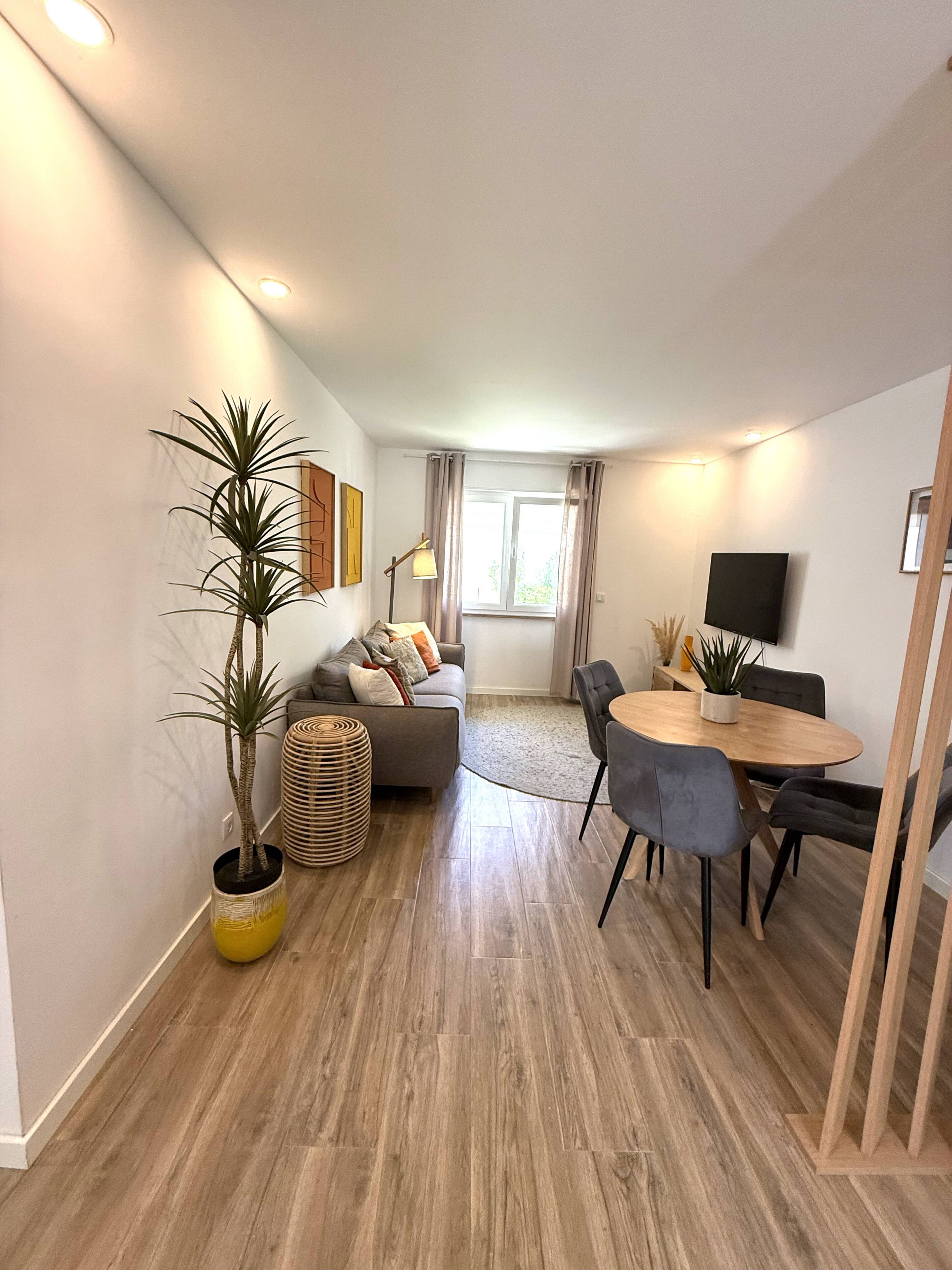 Un salon moderne avec un canapé, une table à manger et des chaises, un téléviseur fixé au mur et une plante en pot.