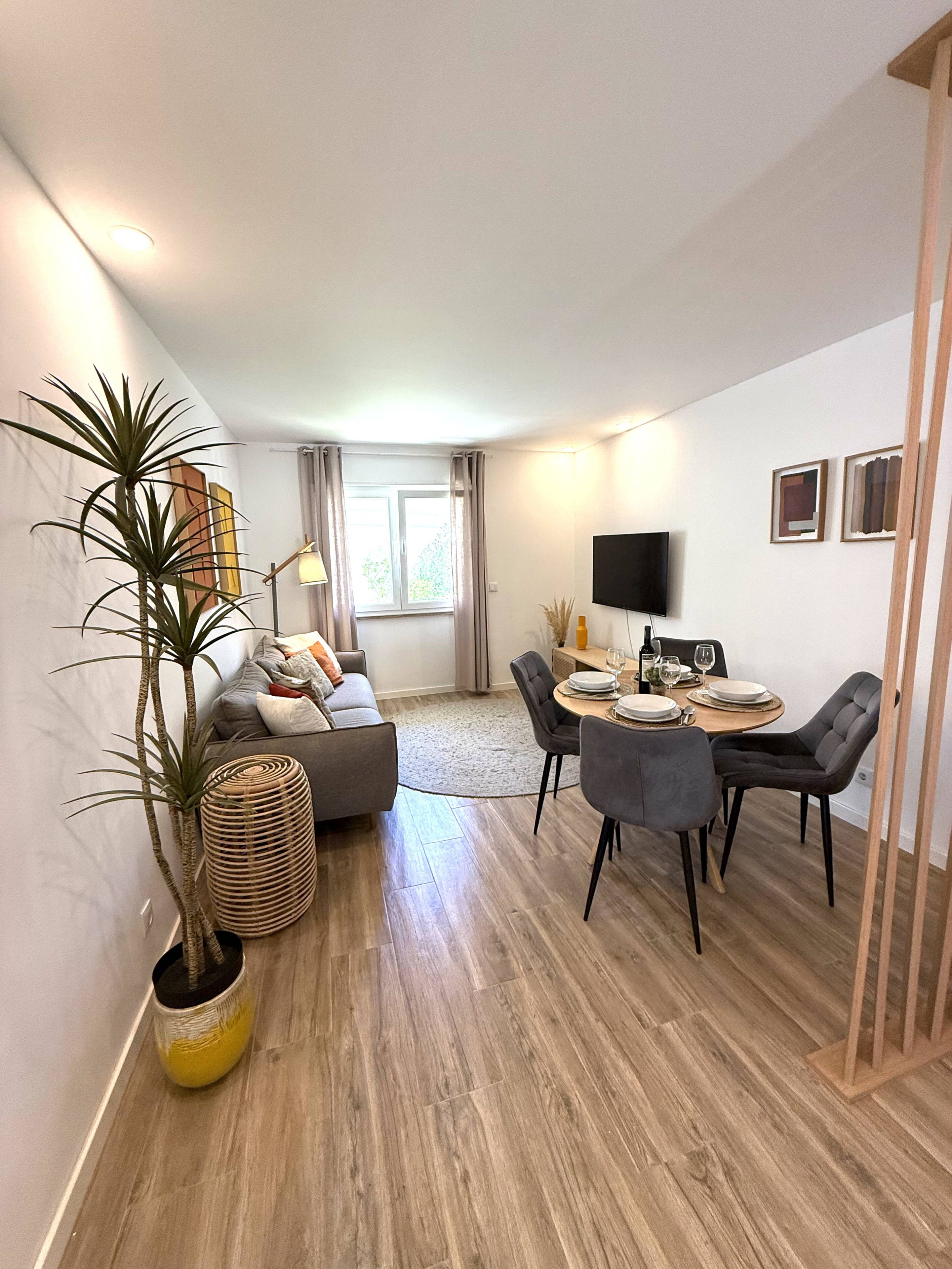 A modern living room with a sofa, dining table, chairs, and a potted plant.