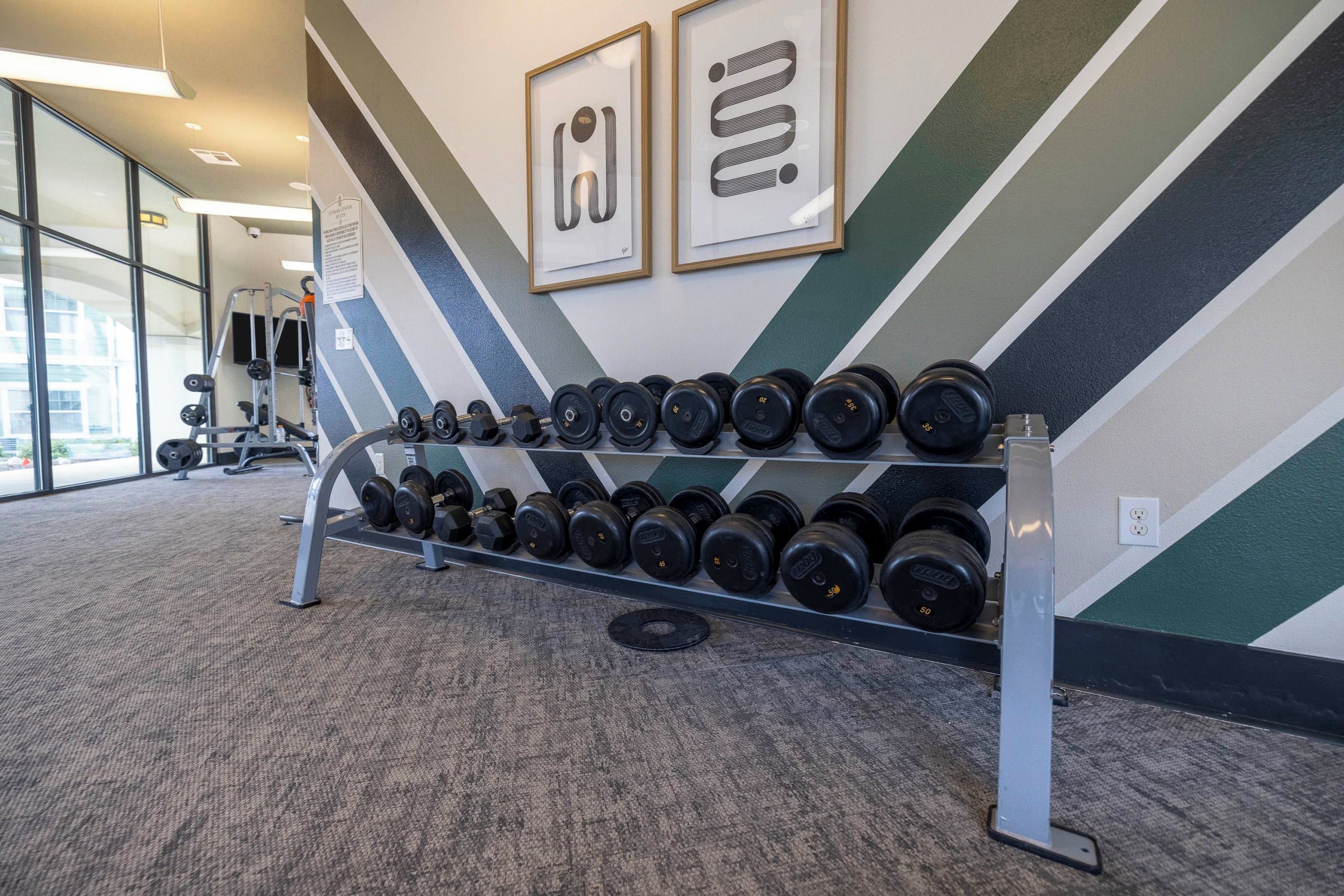 A gym with a wall-mounted dumbbell rack and a weight bench.
