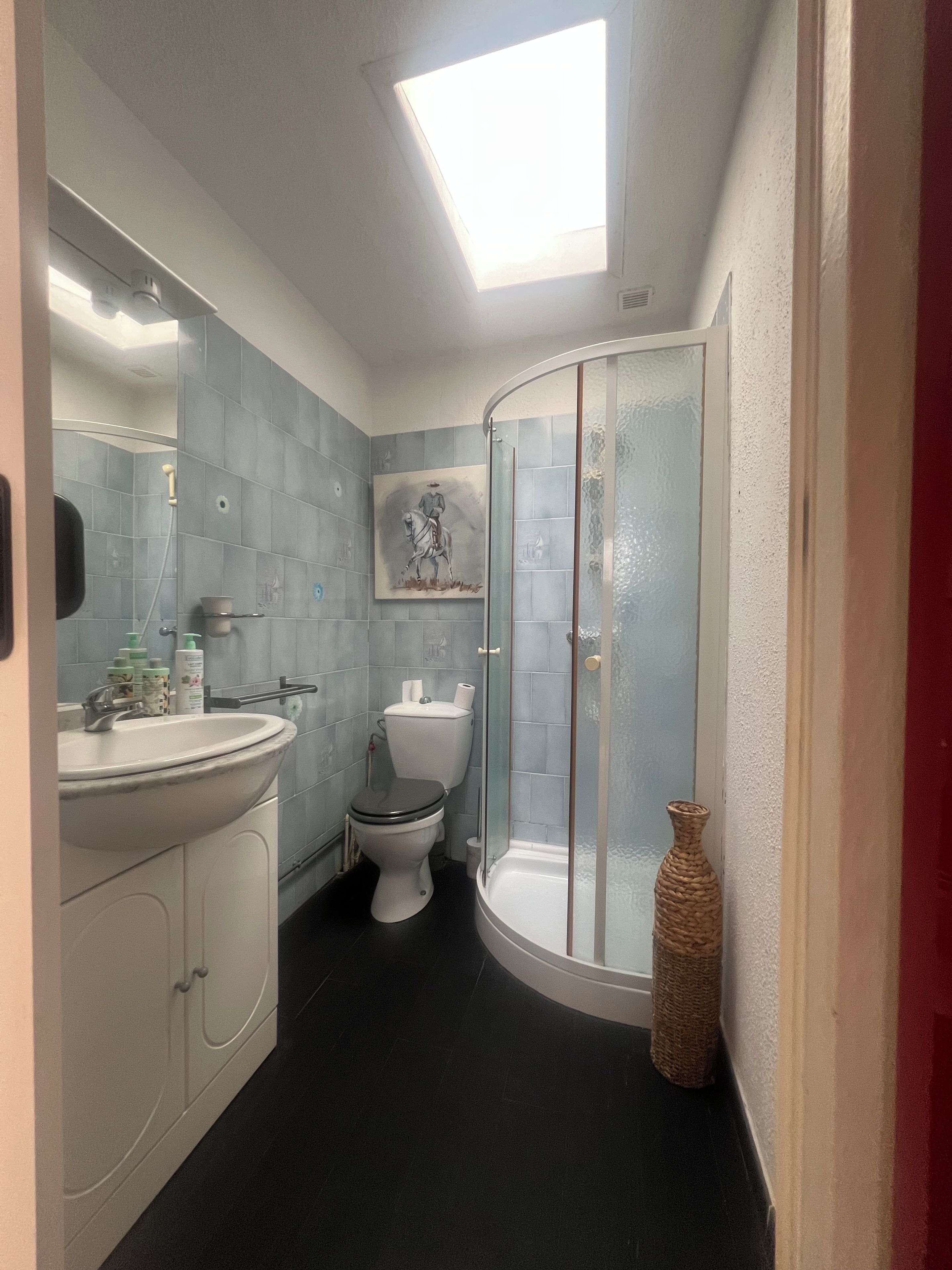 Een badkamer met dakraam, douchecabine, toilet en wastafel.