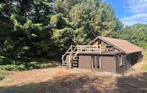 A cabin with a wooden deck and stairs leading to a loft area, surrounded by dense forest. - Secret, private log cabin in large beautiful  gardens, very quiet, pet allowed (Norwich)